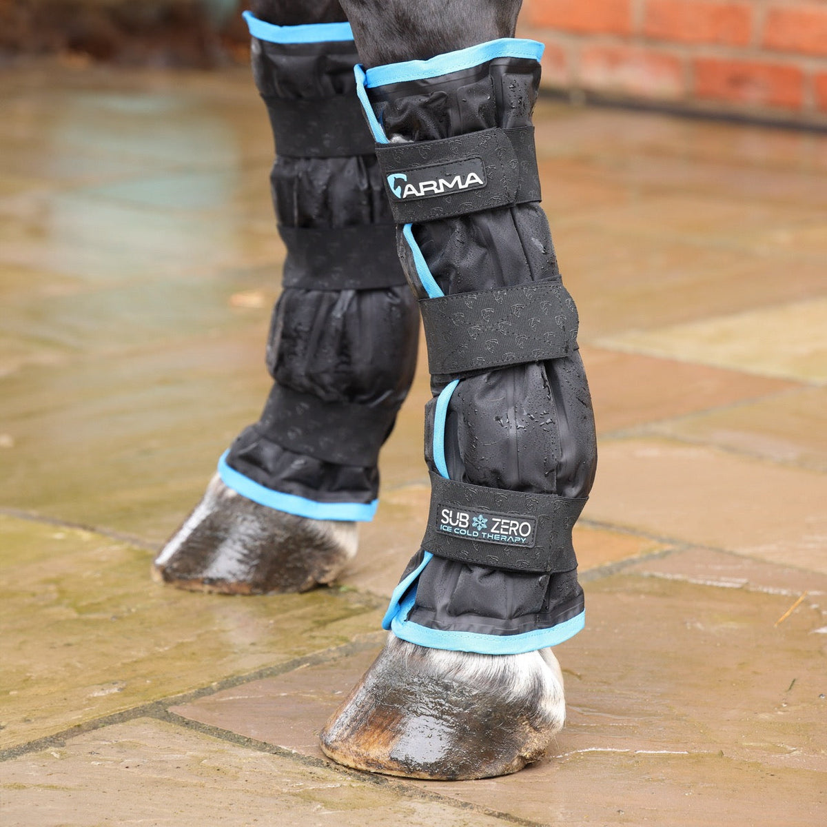How To Use Ice Boots On Horses