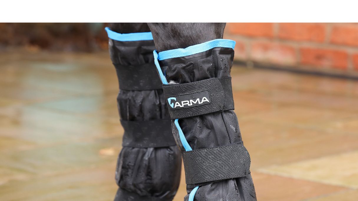 How To Use Ice Boots On Horses