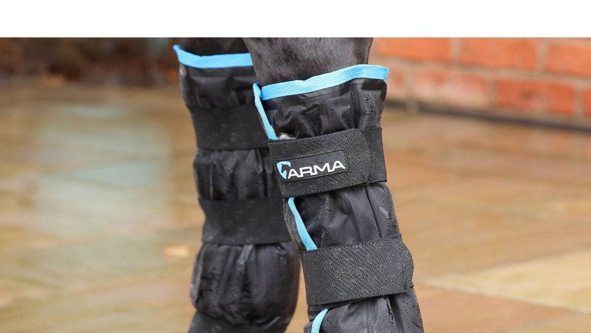 How To Use Ice Boots On Horses