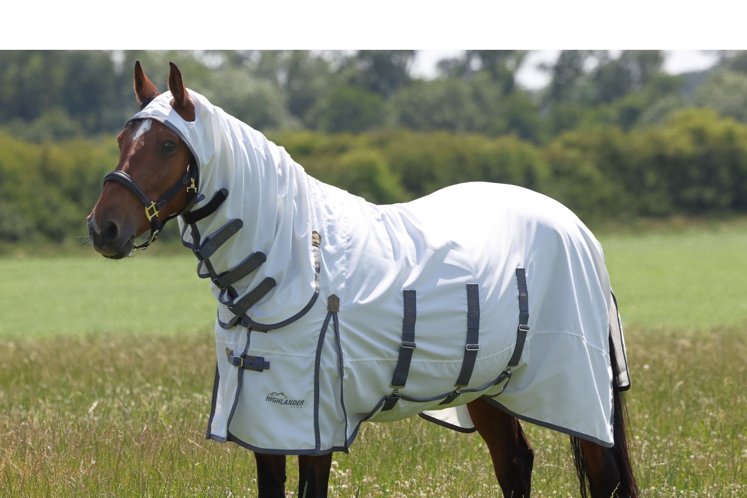 What is a Sweet Itch Rug?