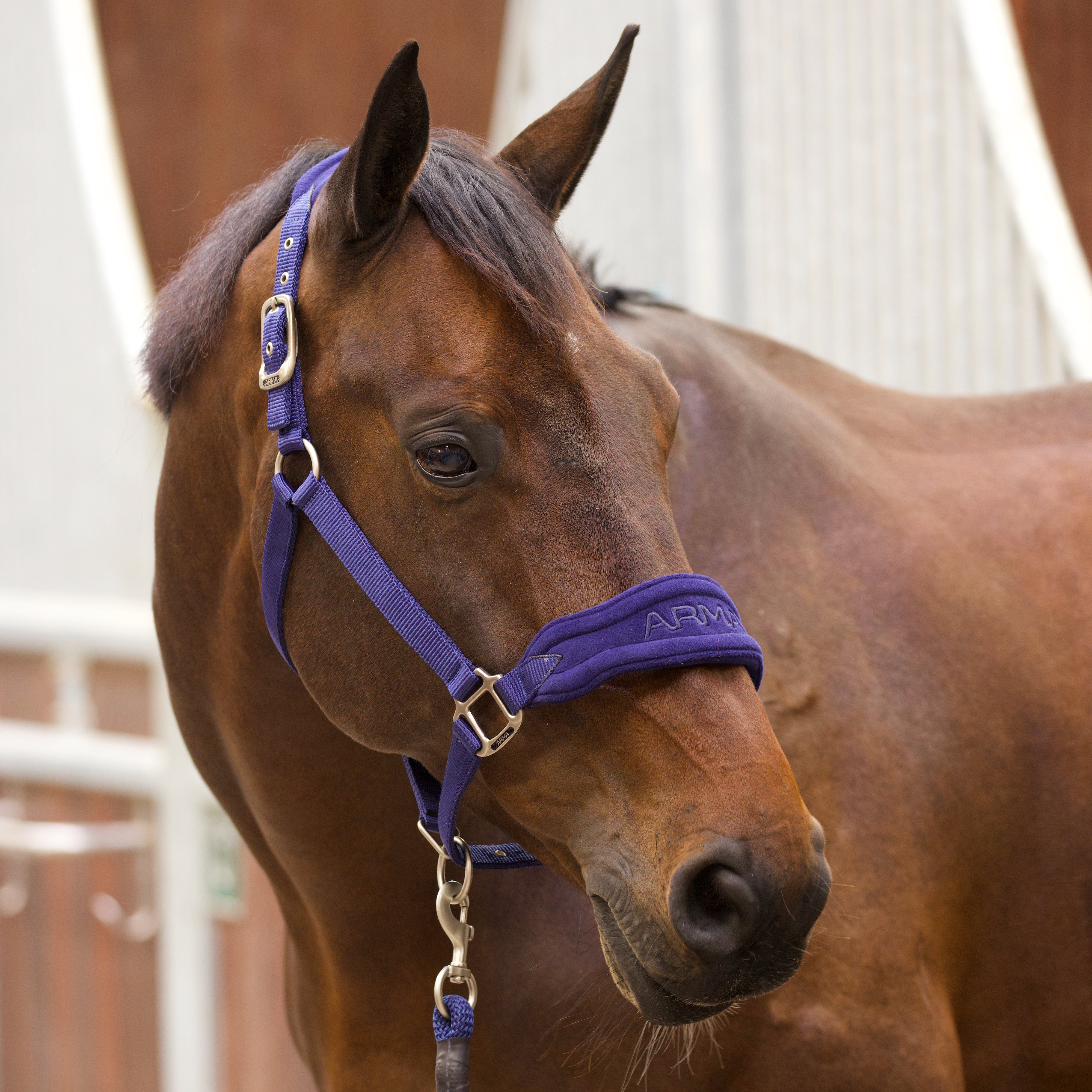 ARMA Comfy Fleece Headcollar & Rope