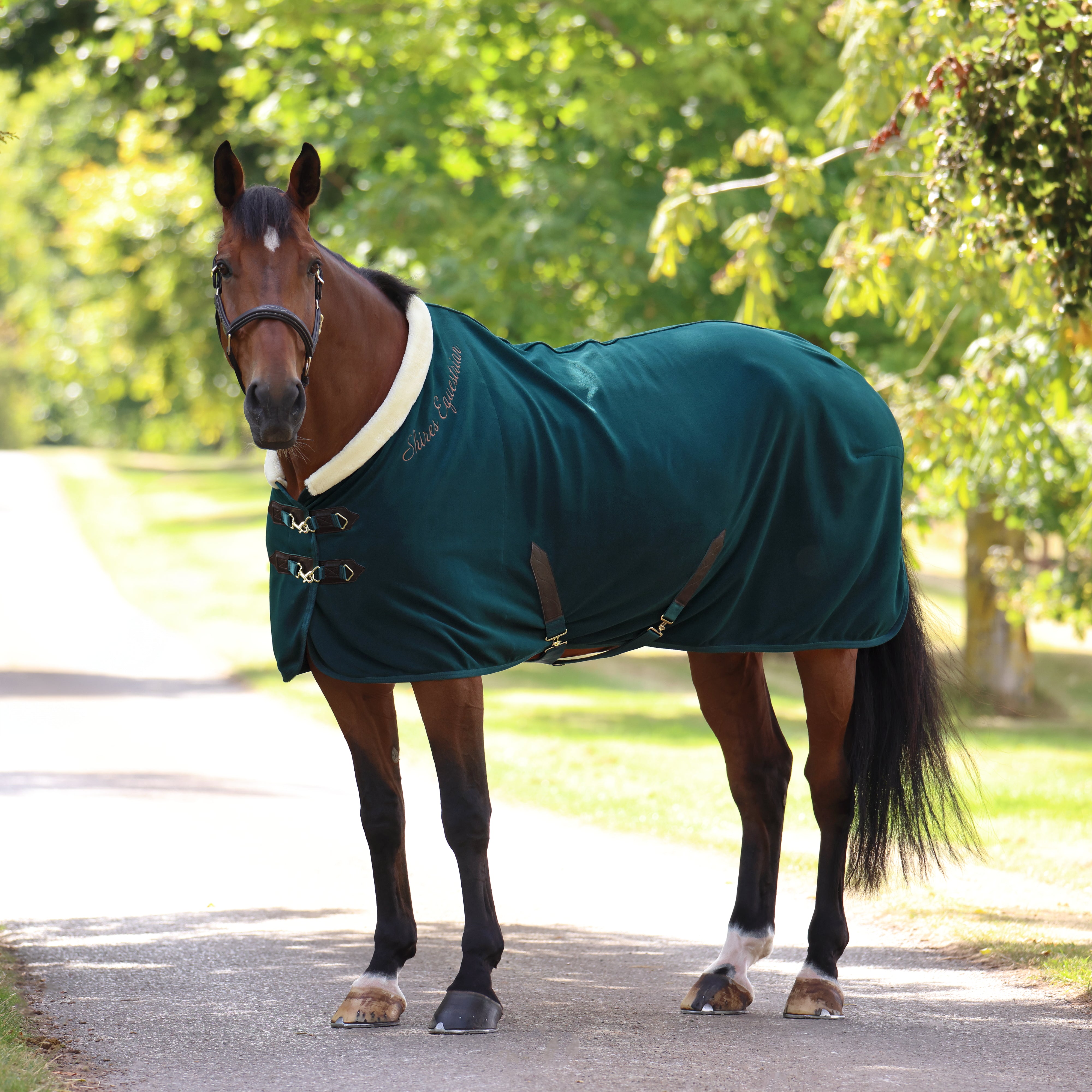 Shires Deluxe Fleece Rug