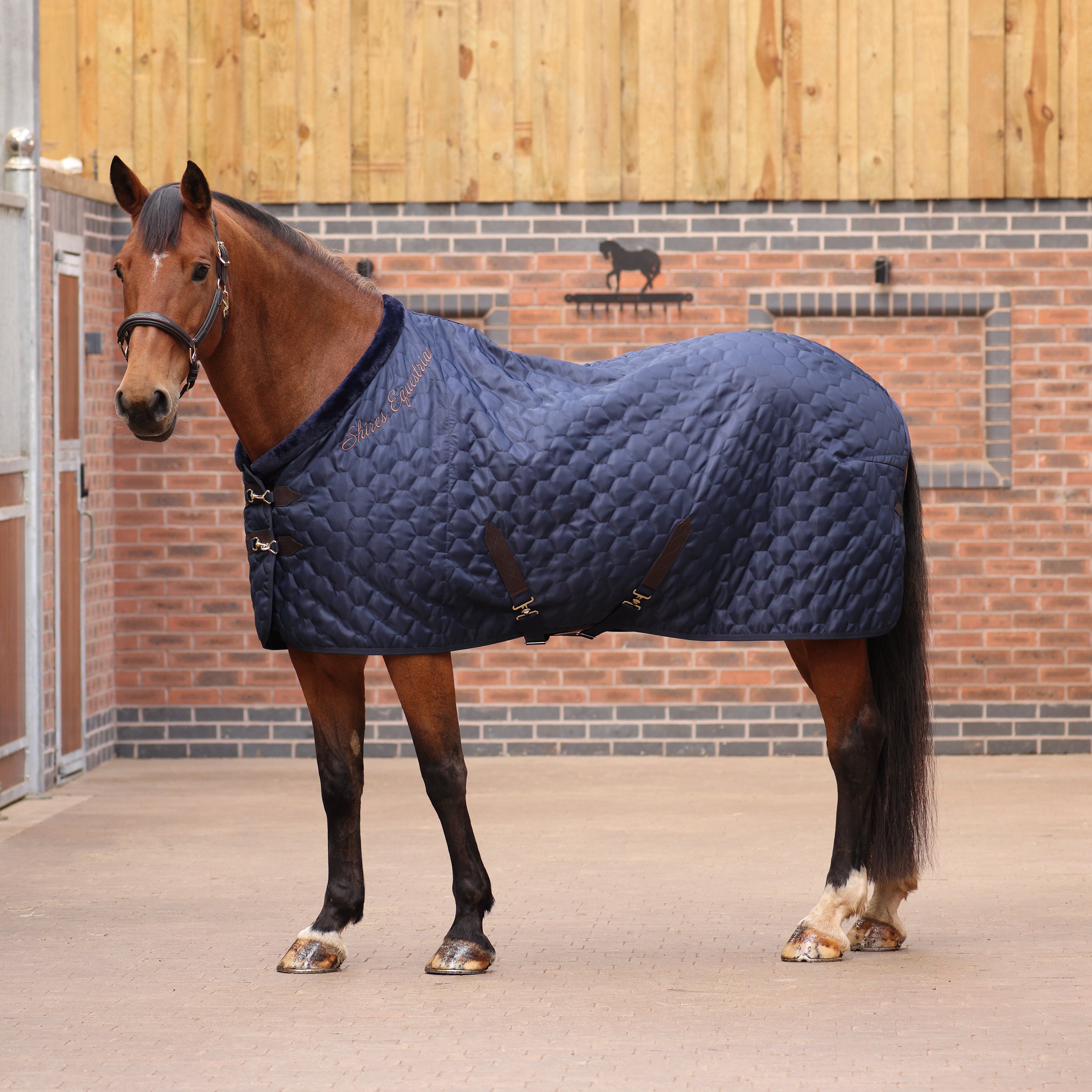 Quilted Exercise Rug Shires Deluxe Quilted Rug