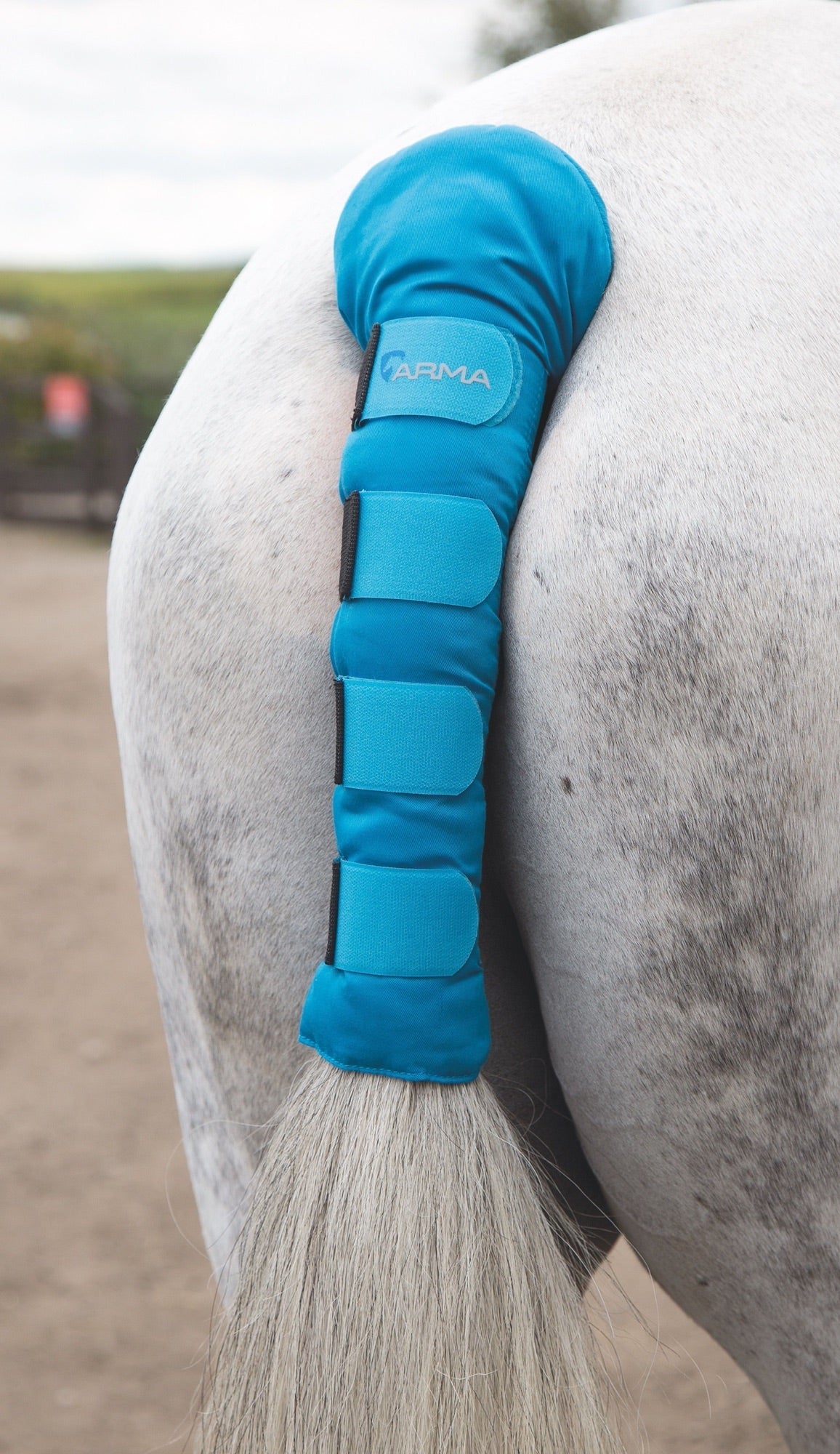 Tail Accessories
