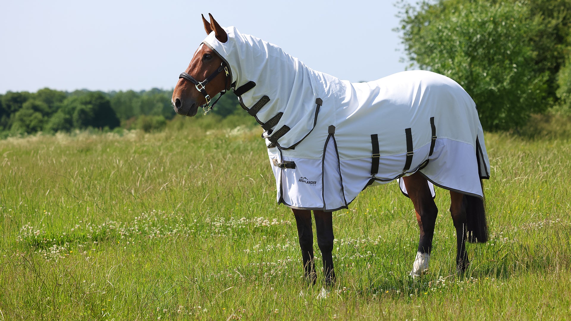 PS of Sweden Zadeldekje Ruffle Dressuur Zwart PS of Sweden Zadeldekje Ruffle Dressuur Zwart