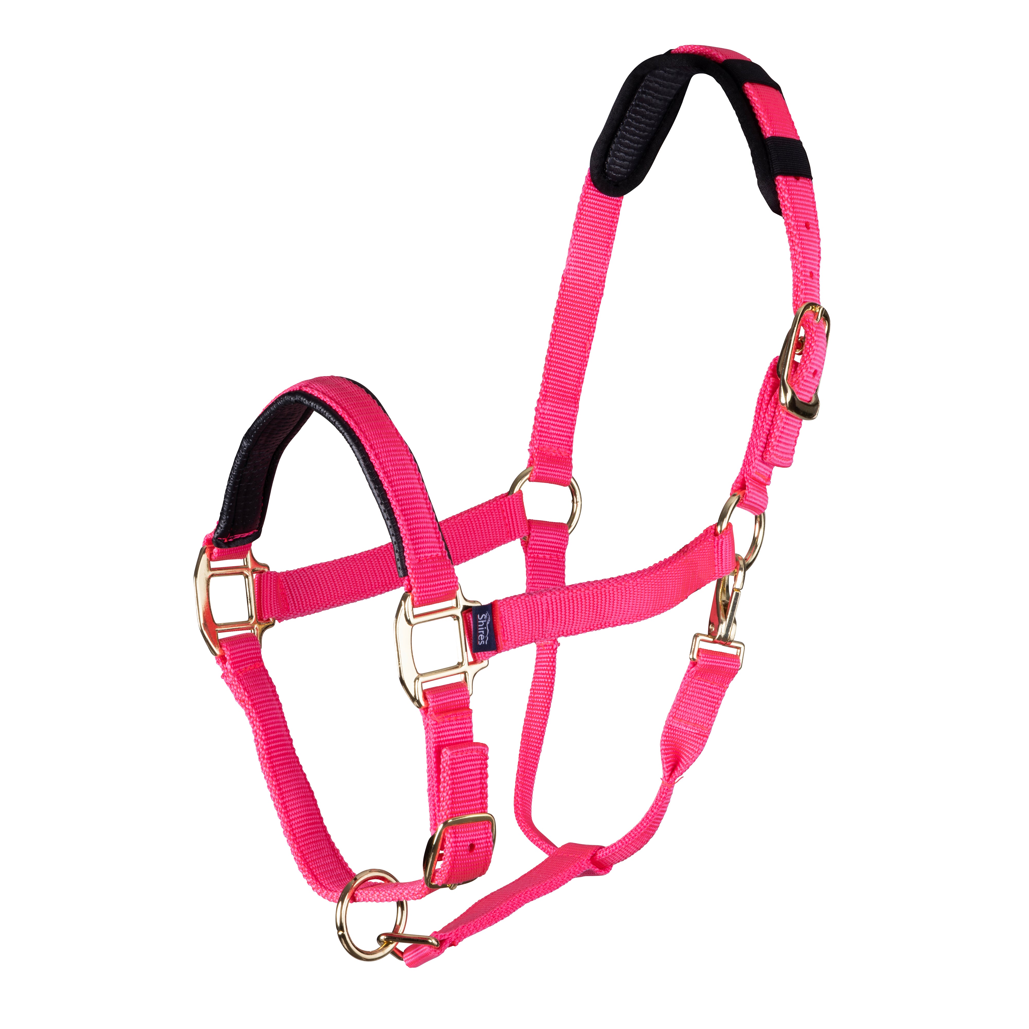 Topaz Leather Breakaway Nylon Headcollar