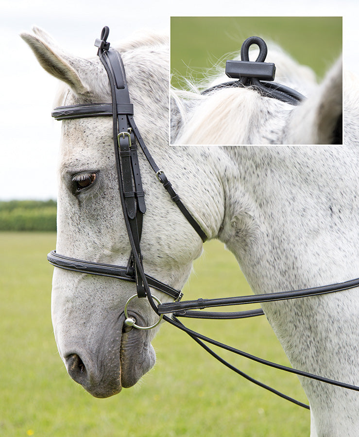 Elastic Training Reins