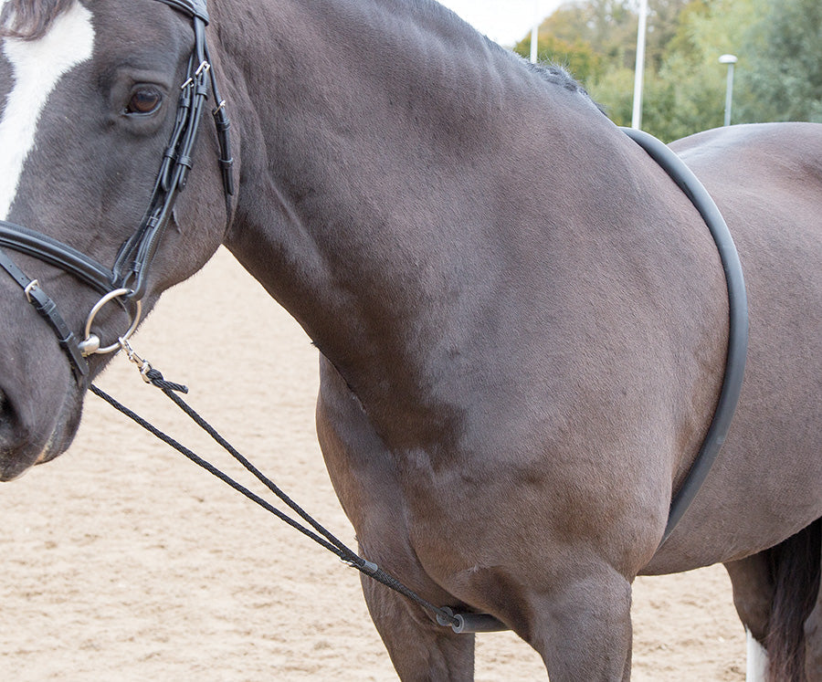 Soft Lunging Aid