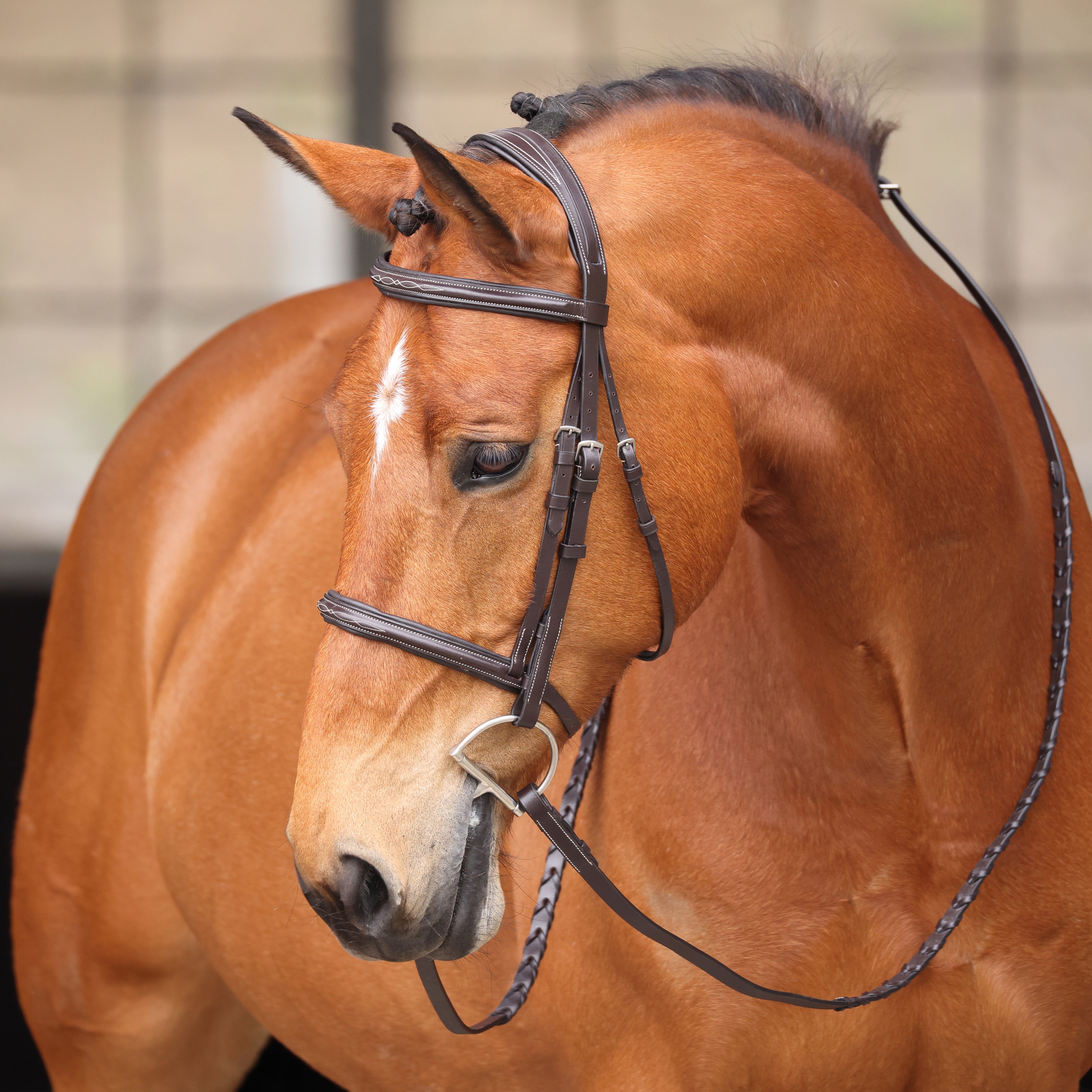 Avignon Nashville Bridle - Thumbnail 2