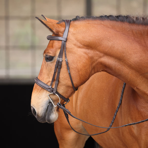 Avigon Woodside Bridle – Tack Shack Of
