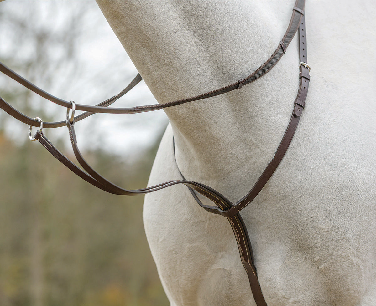 Avignon Running Martingale