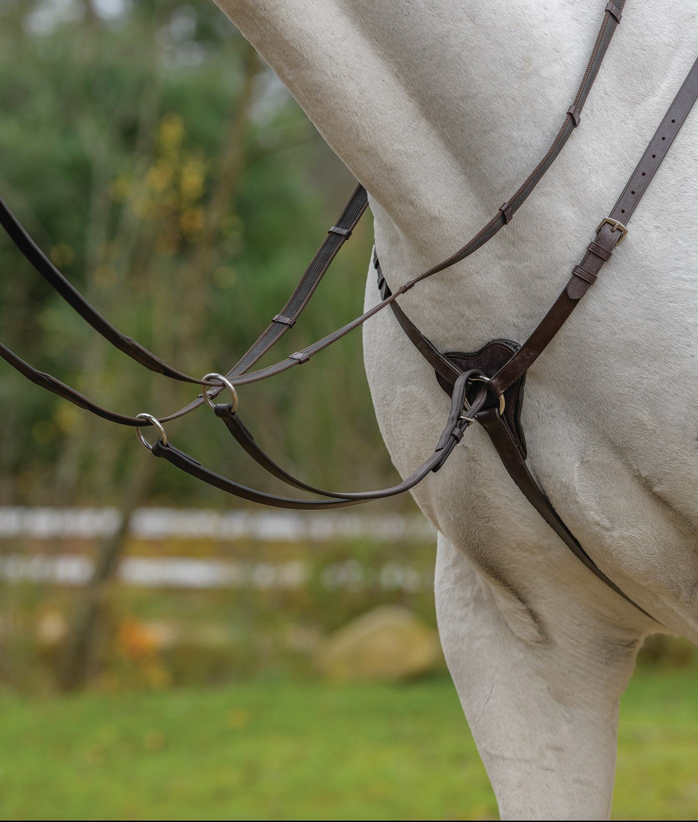 Three Point Breastplate