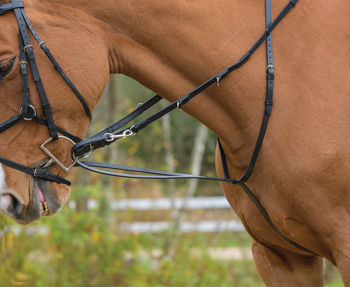 German Martingale