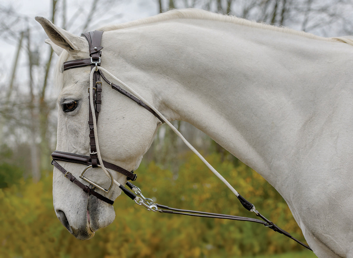 Avignon De Gogue Training Aid