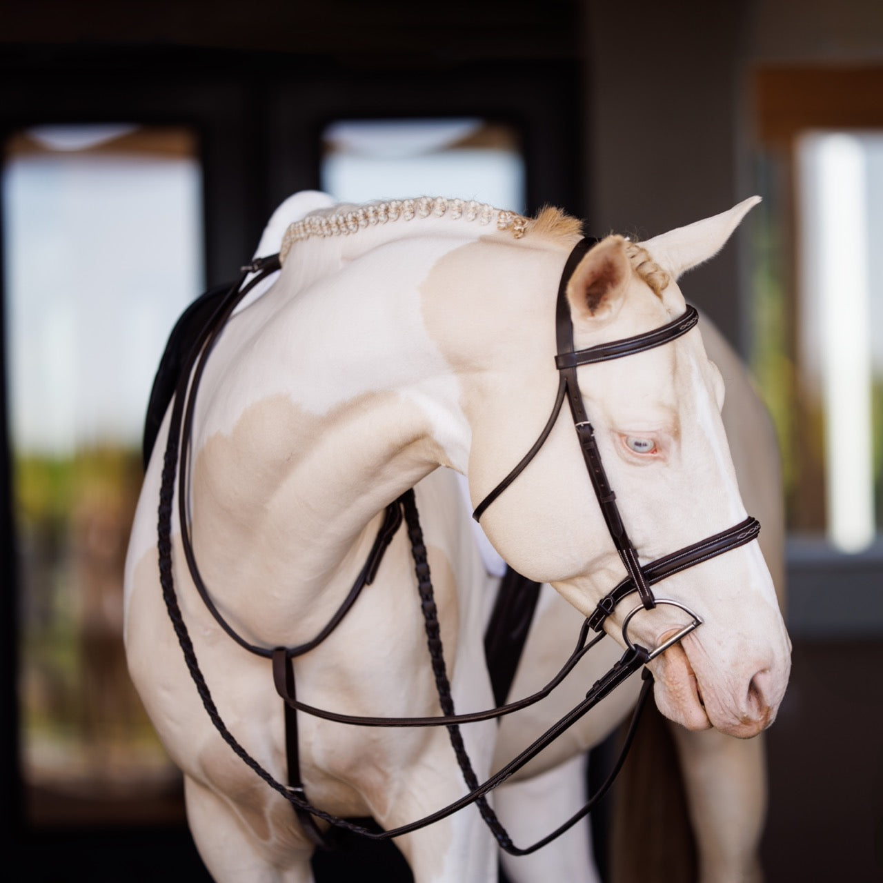 Fancy Square Raised Padded Bridleh with Fancy Square Laced Reins
