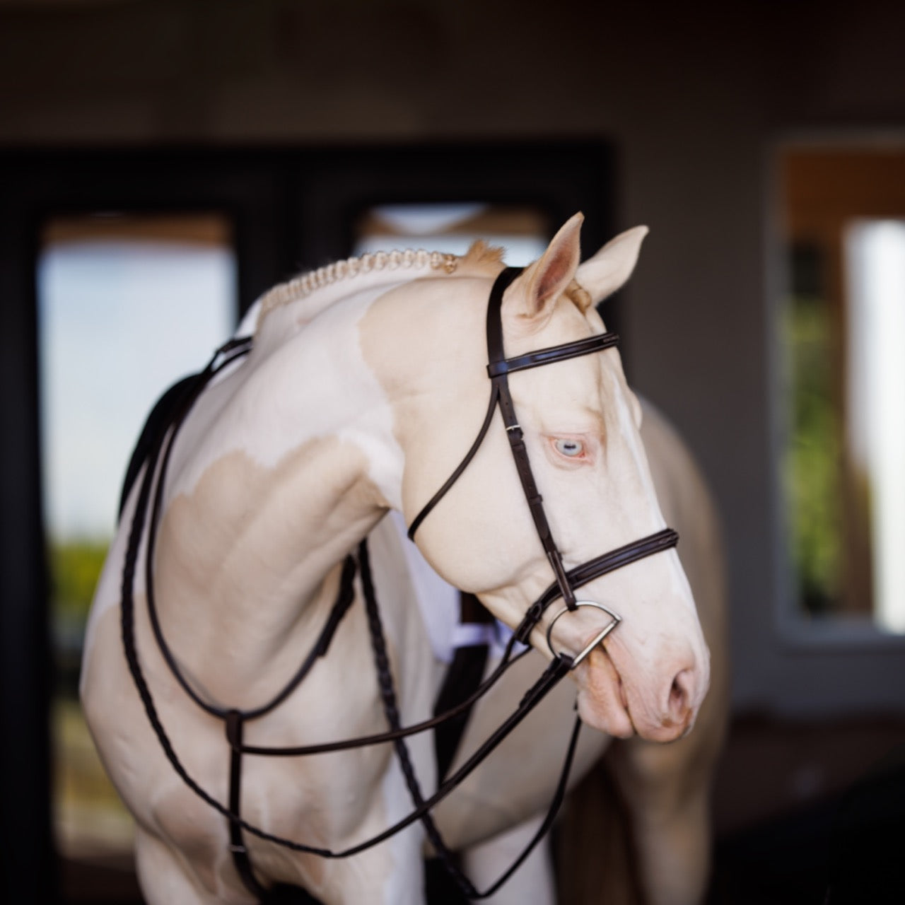Fancy Square Raised Laced Reins