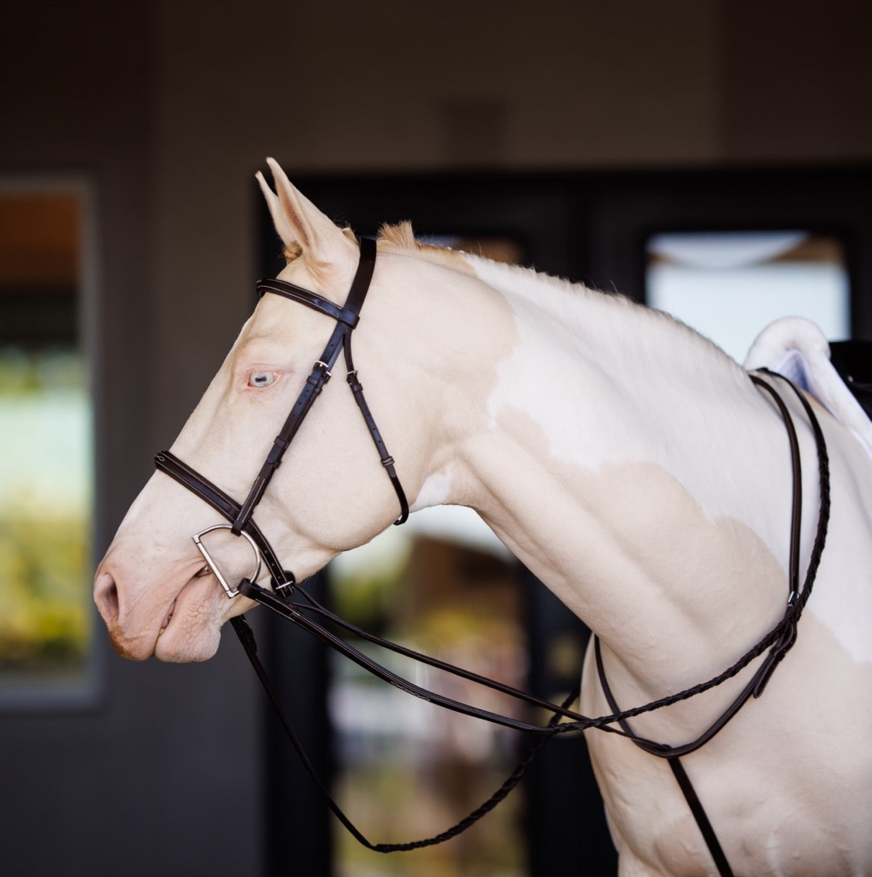 Fancy Square Raised Standing Martingale