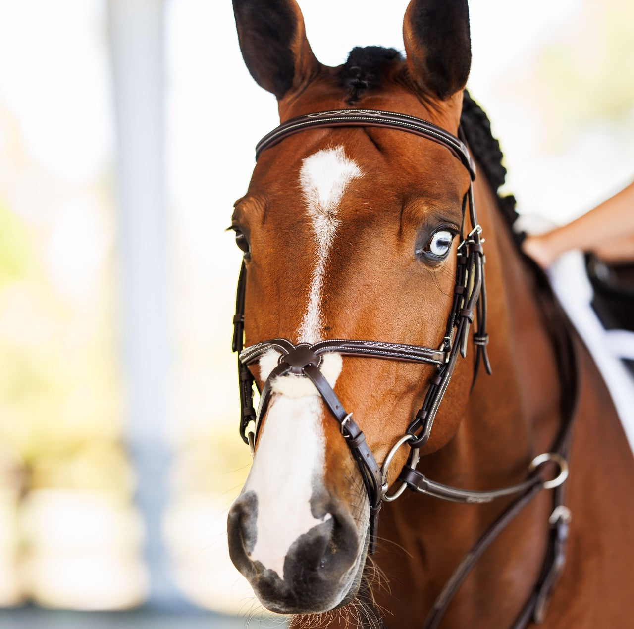 Fancy Raised Padded Figure 8 Bridle with Fancy Raised Rubber Reins