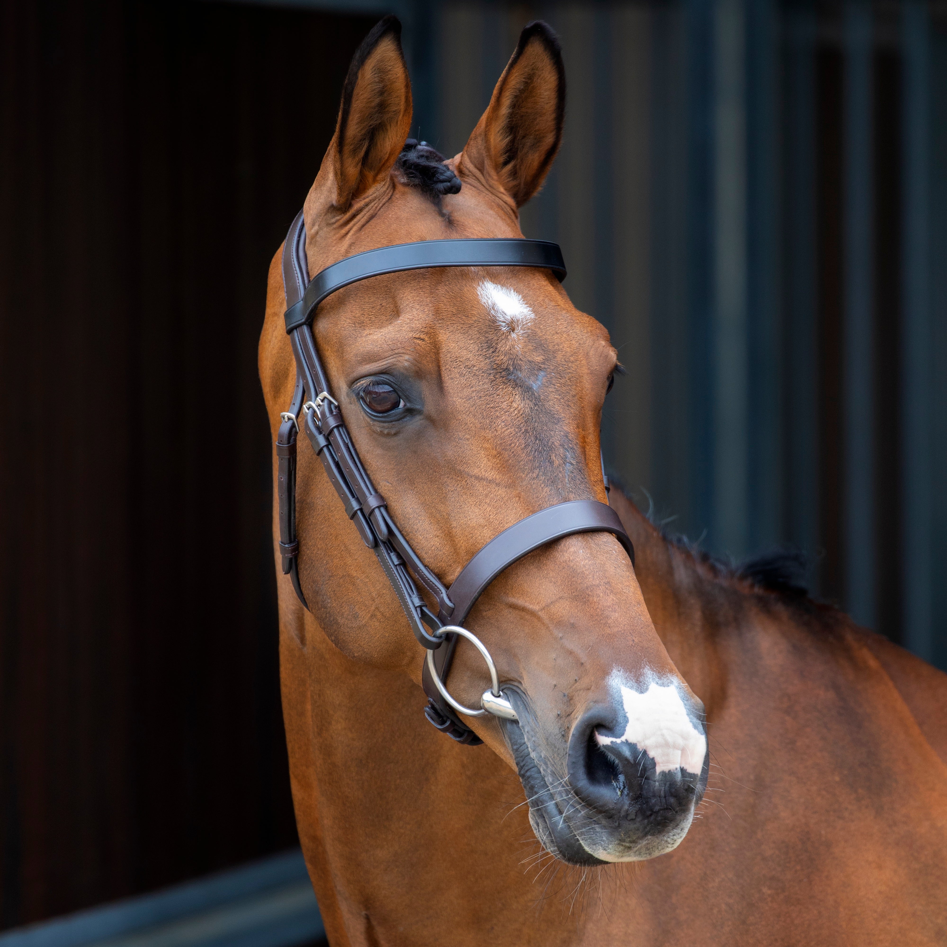 Lusso Hunter Cavesson Bridle