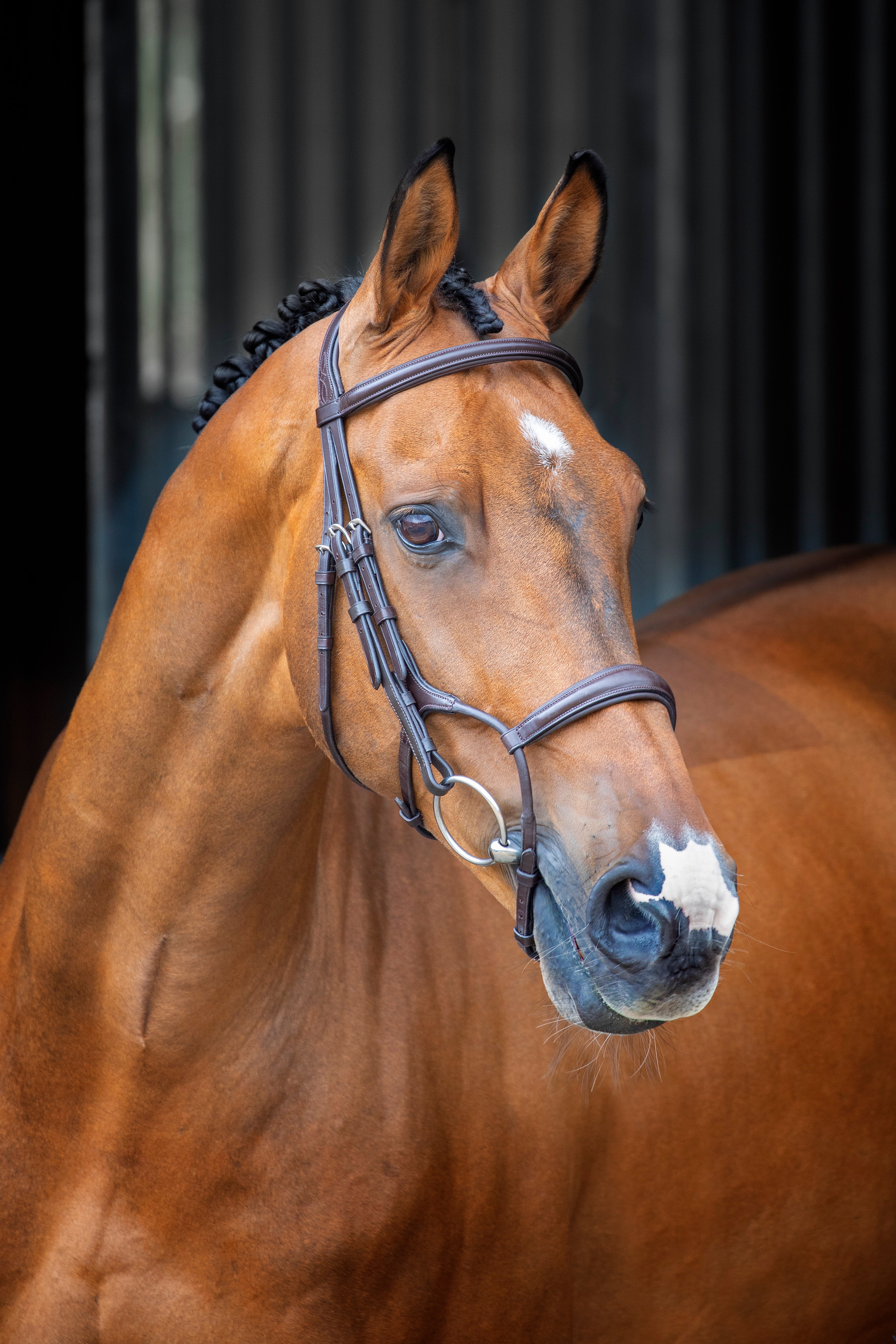 Lusso Rolled Padded Cavesson Bridle