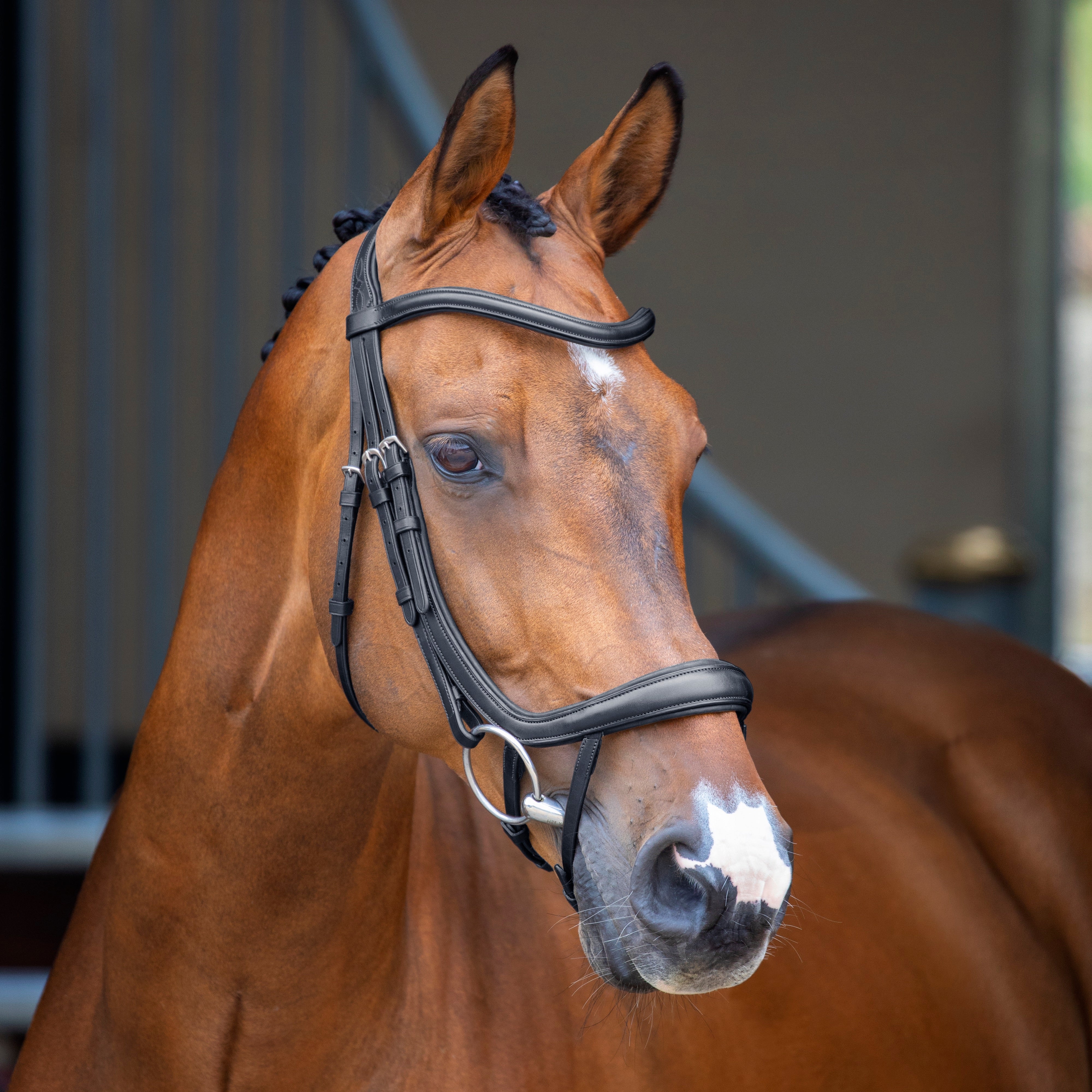 Lusso Ergonomic Curved Flash Bridle