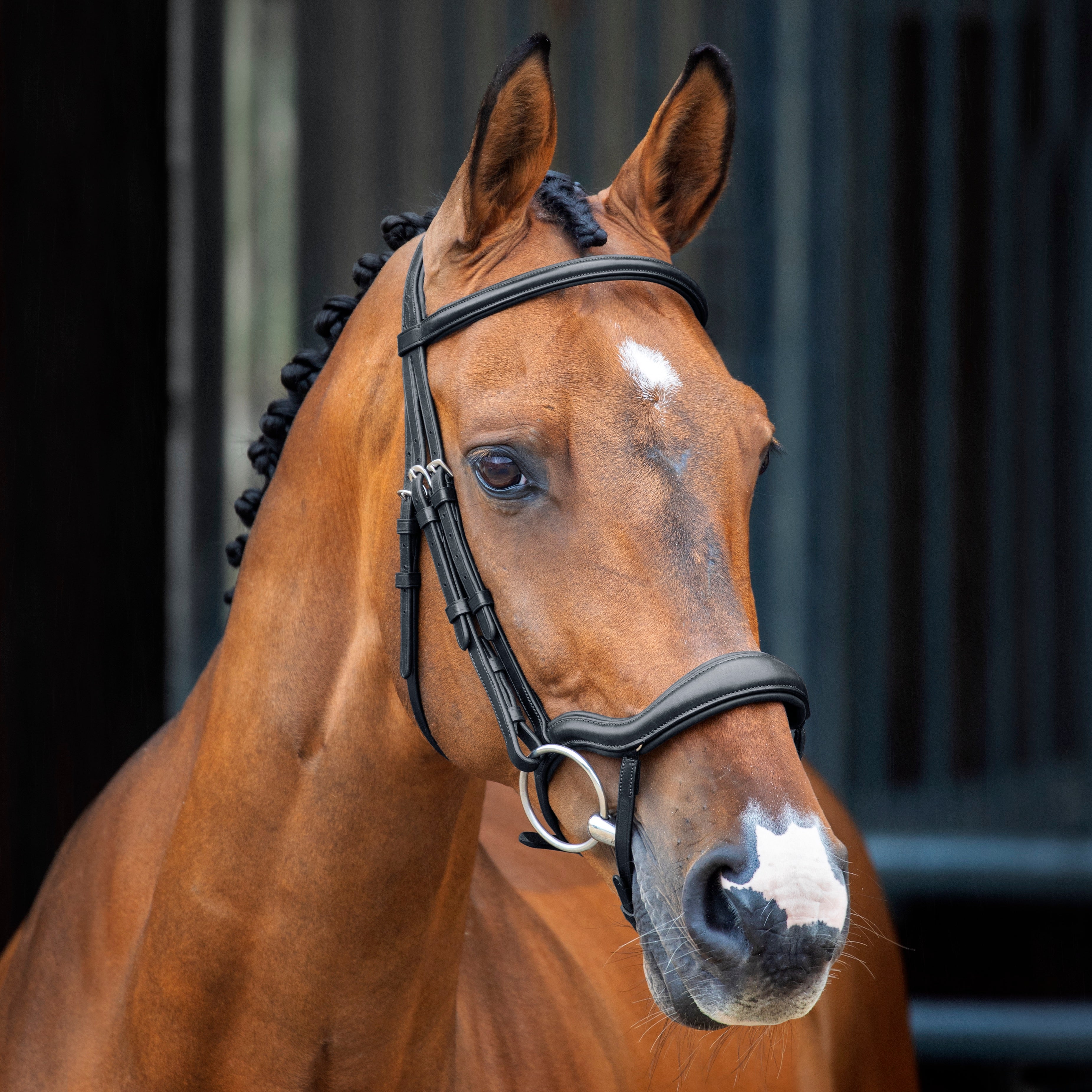 Lusso Ergonomic Flash Bridle