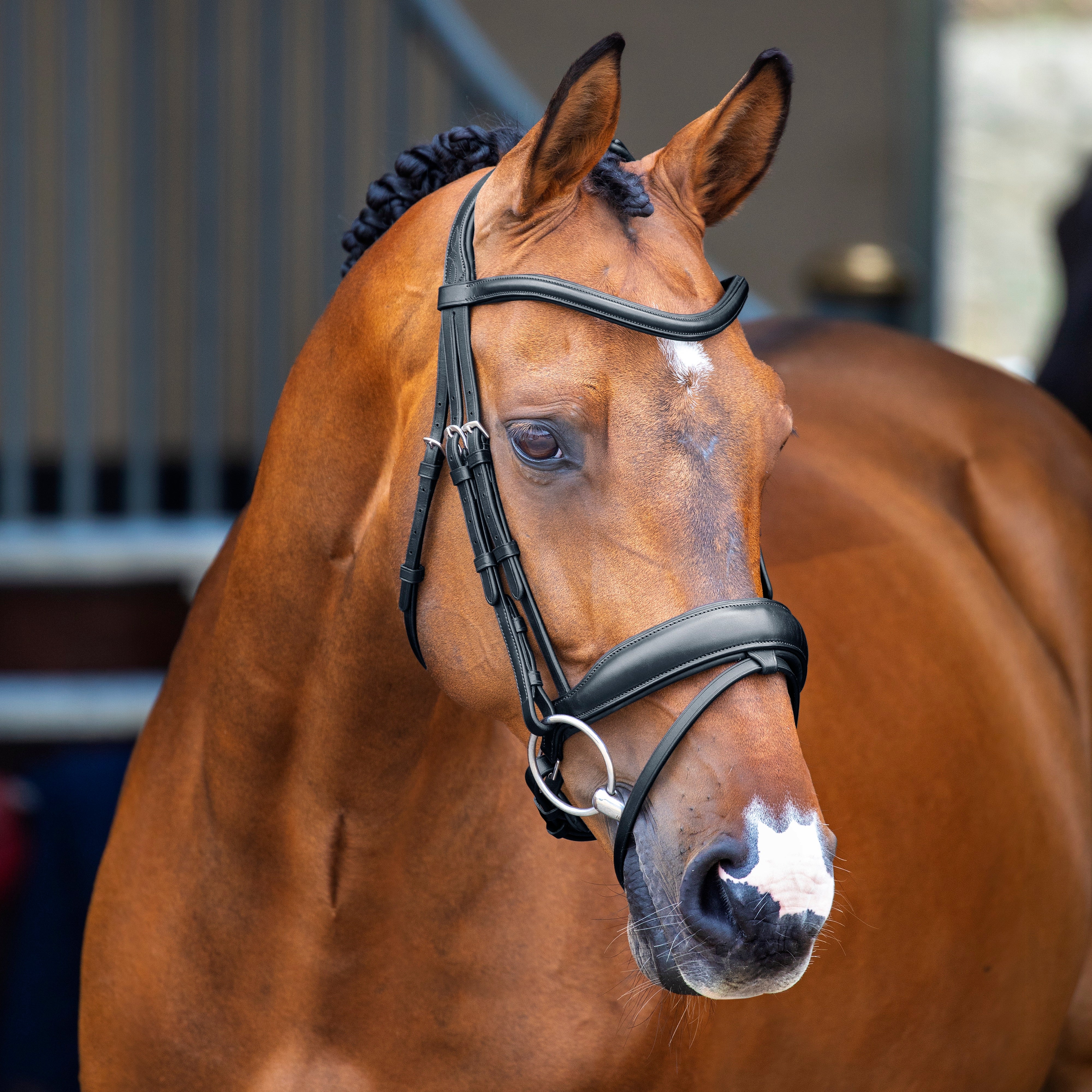 Lusso Dressage Flash Bridle