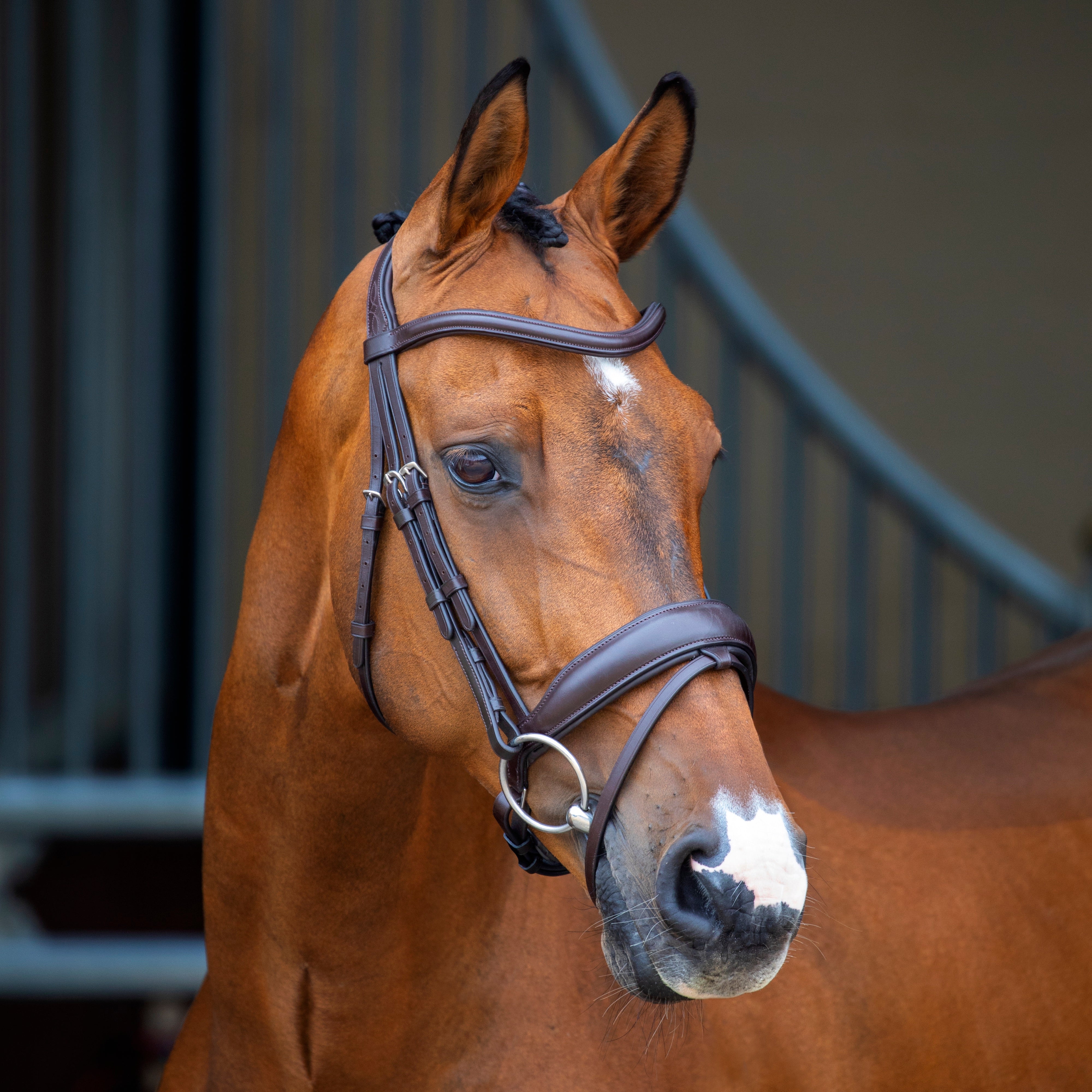 Lusso Dressage Flash Bridle