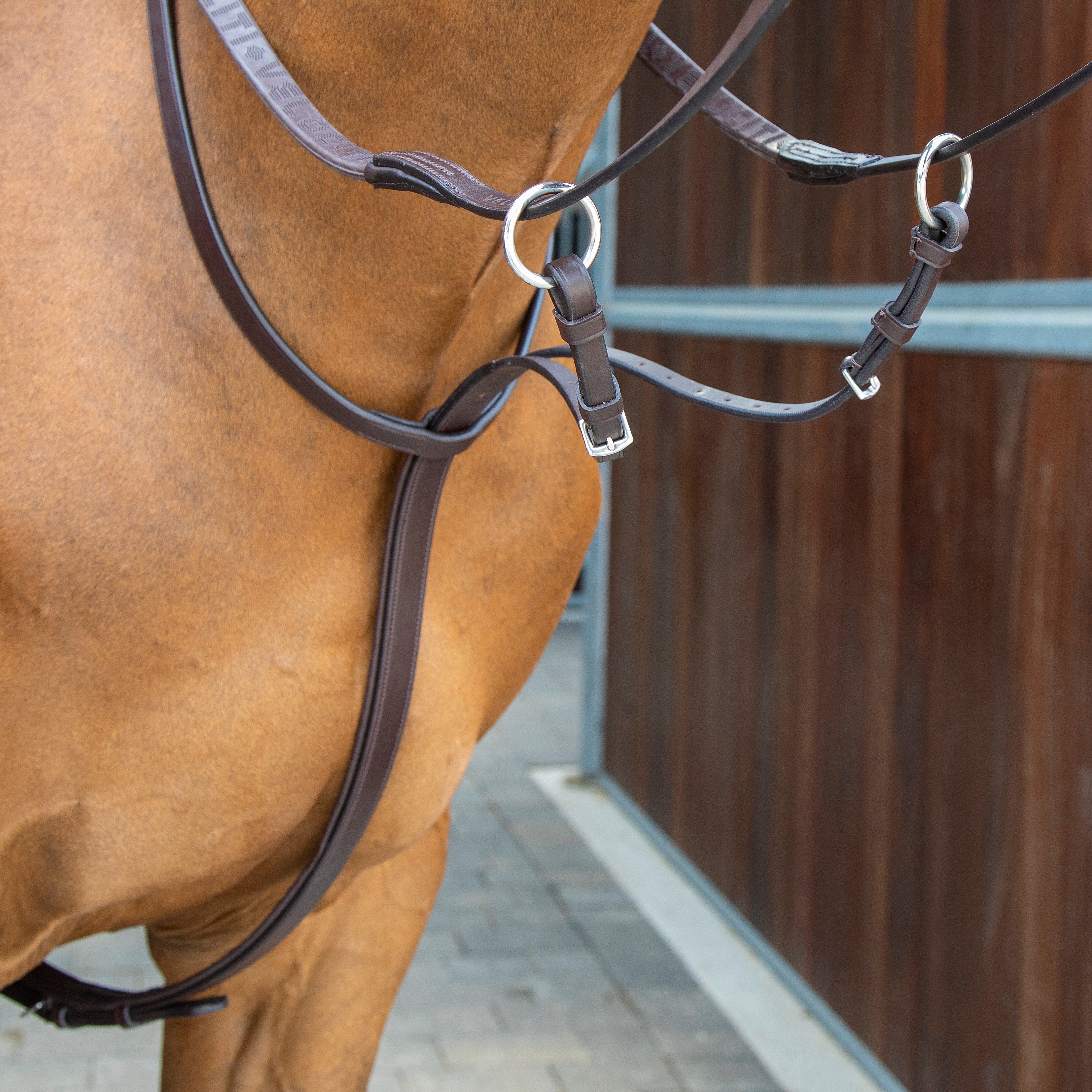 Martingaling Martingales & Breastplates