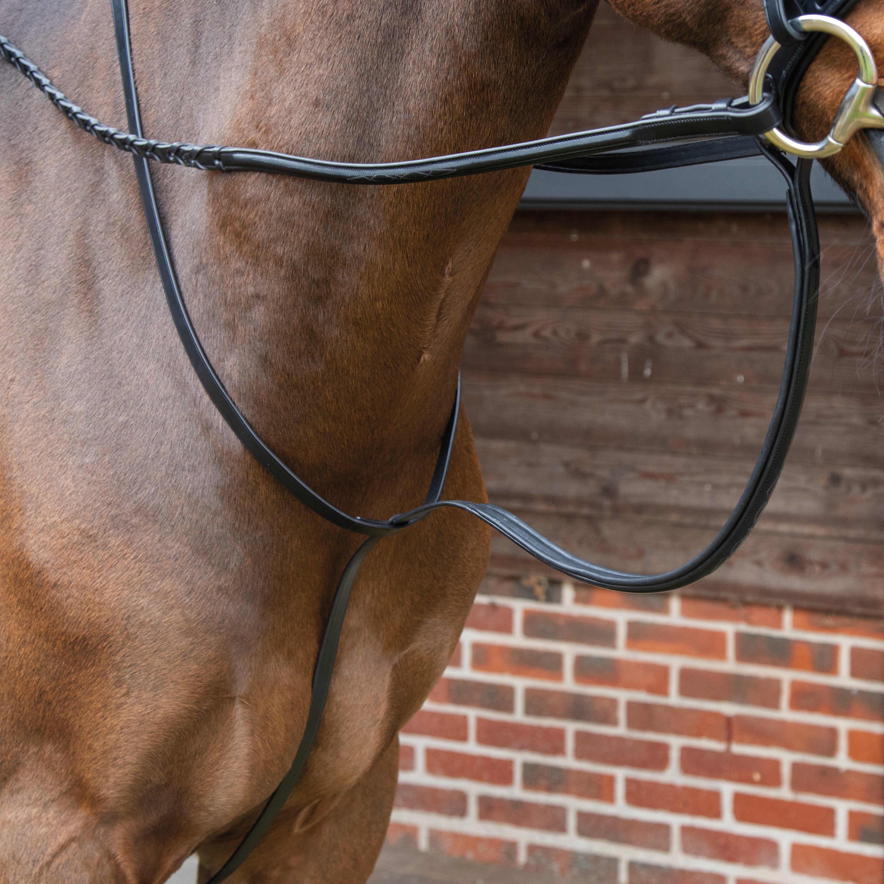 Lusso Standing Martingale