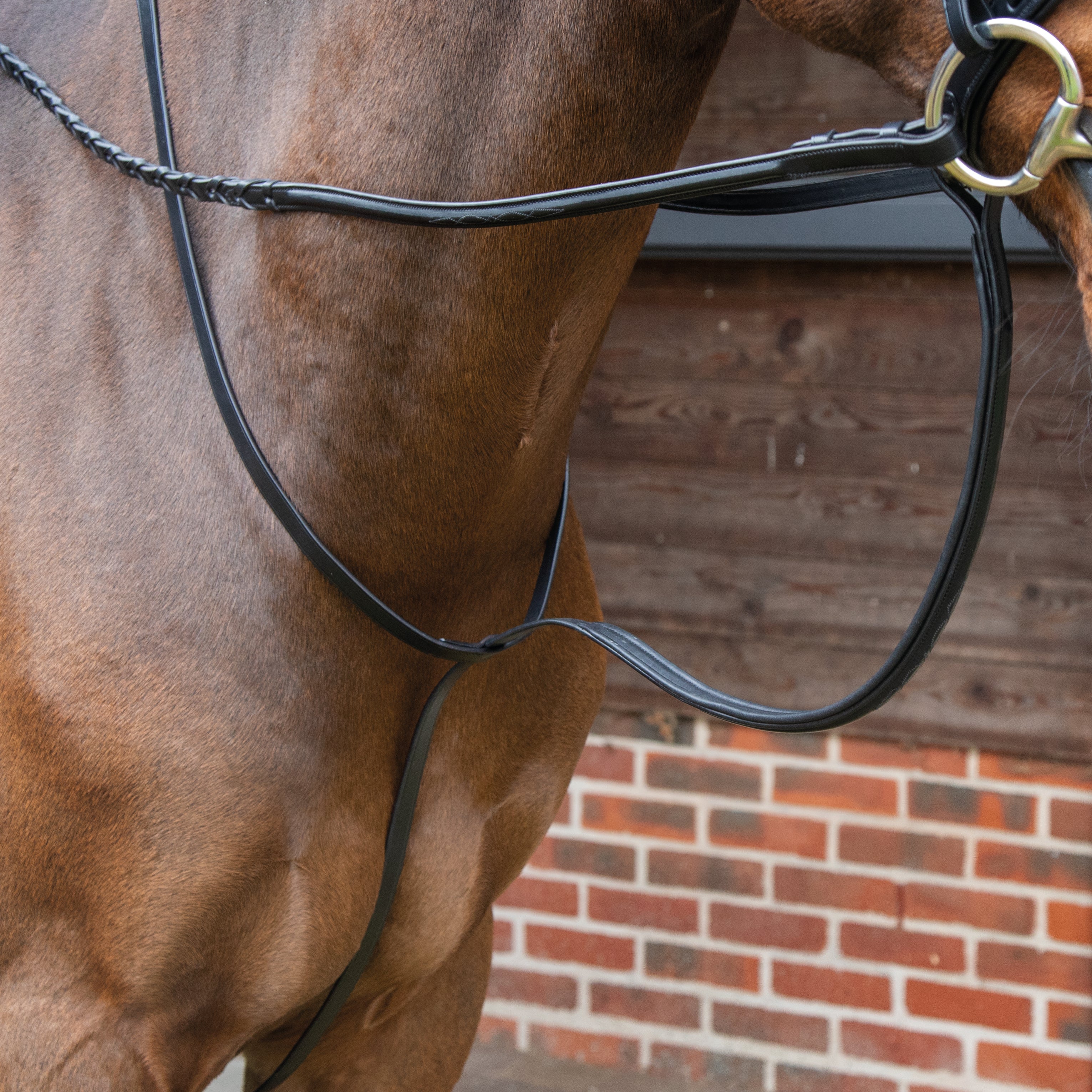 Martingaling Martingales & Breastplates