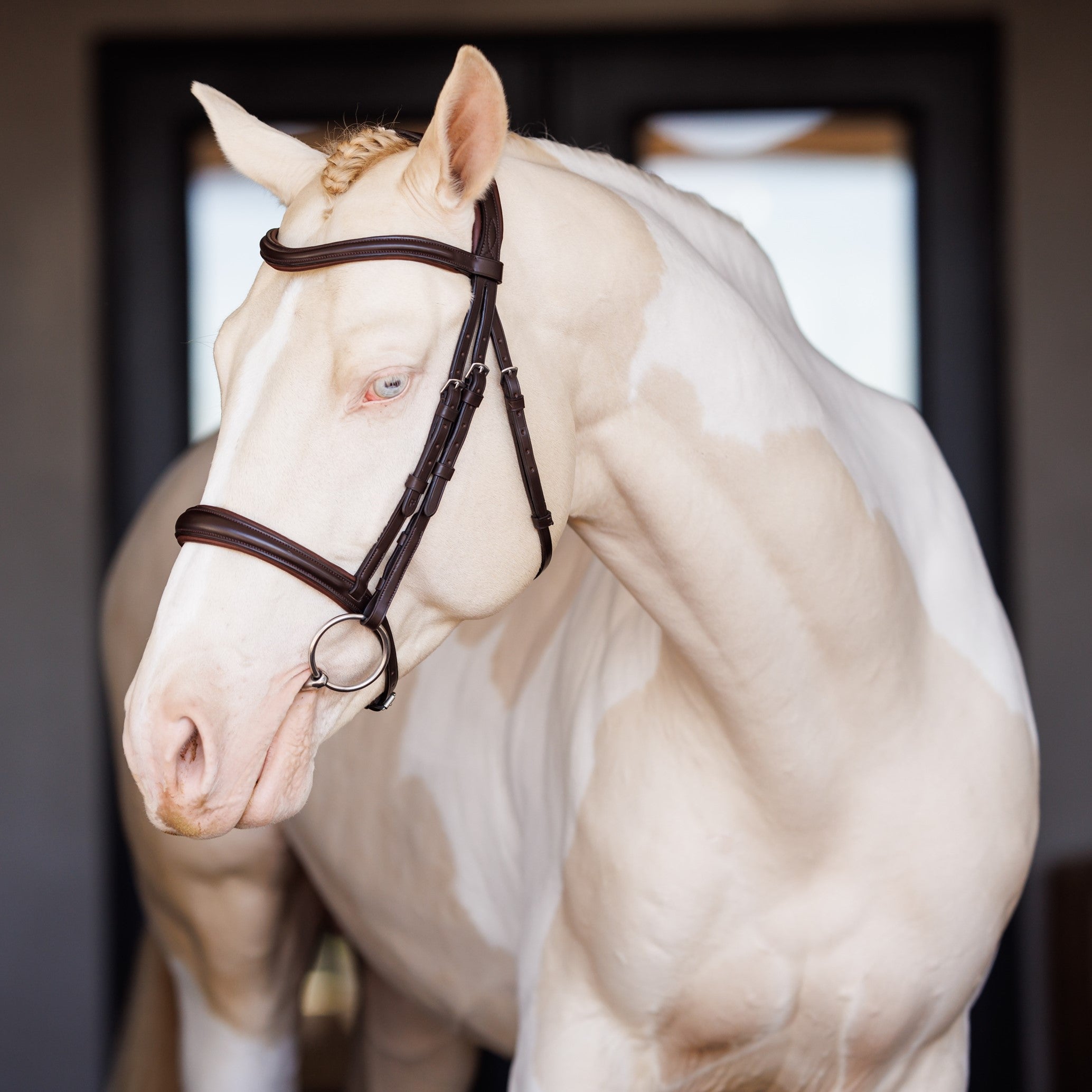 Lusso Raised Padded Bridle