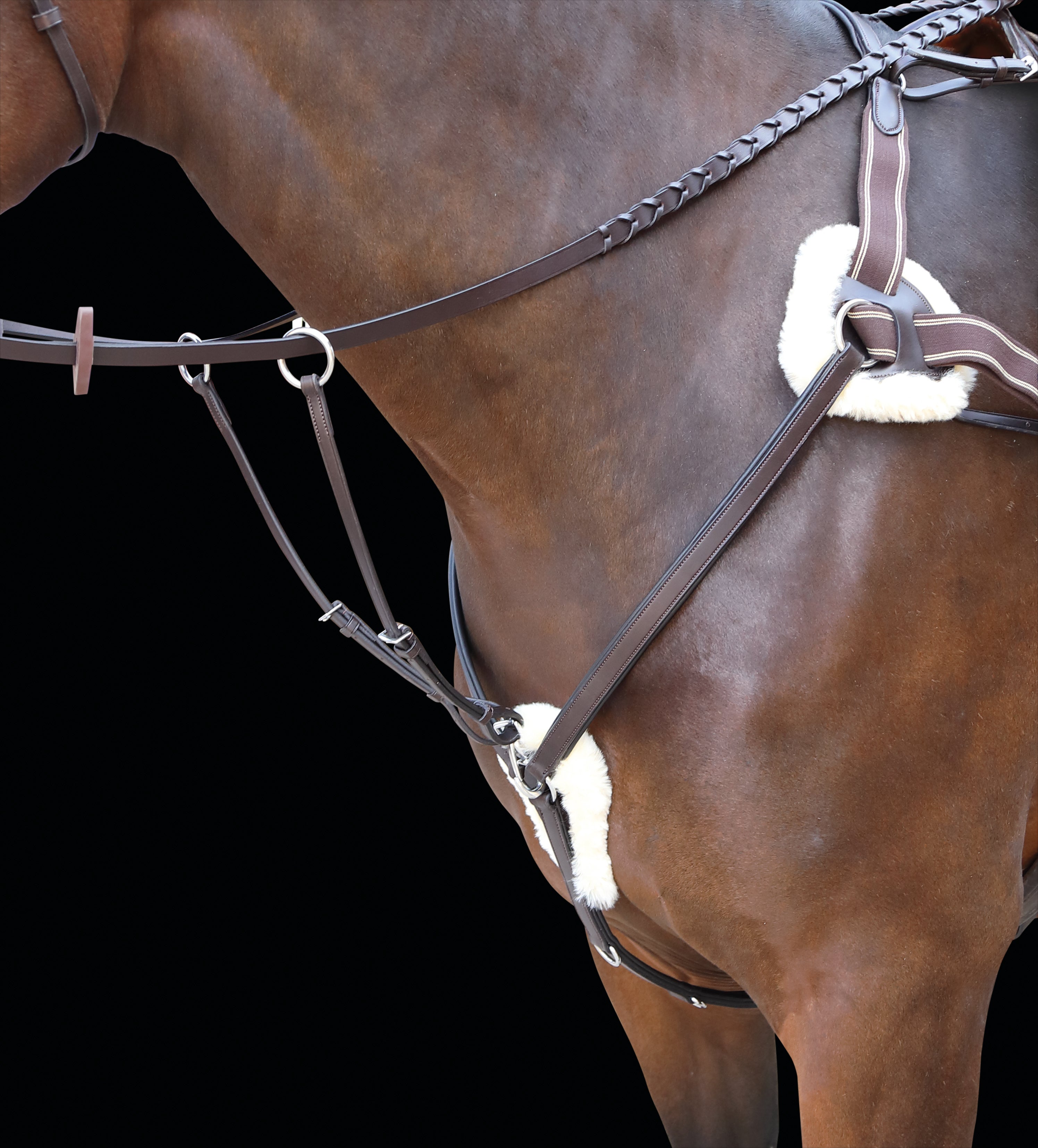 Rossano Five Point Breastplate