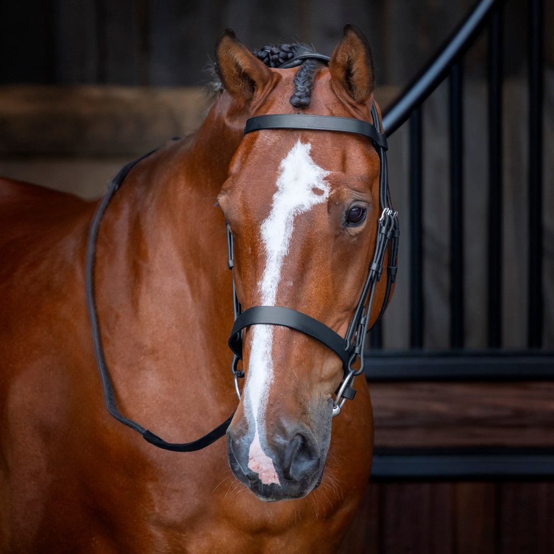 Velociti Hunter Bridle