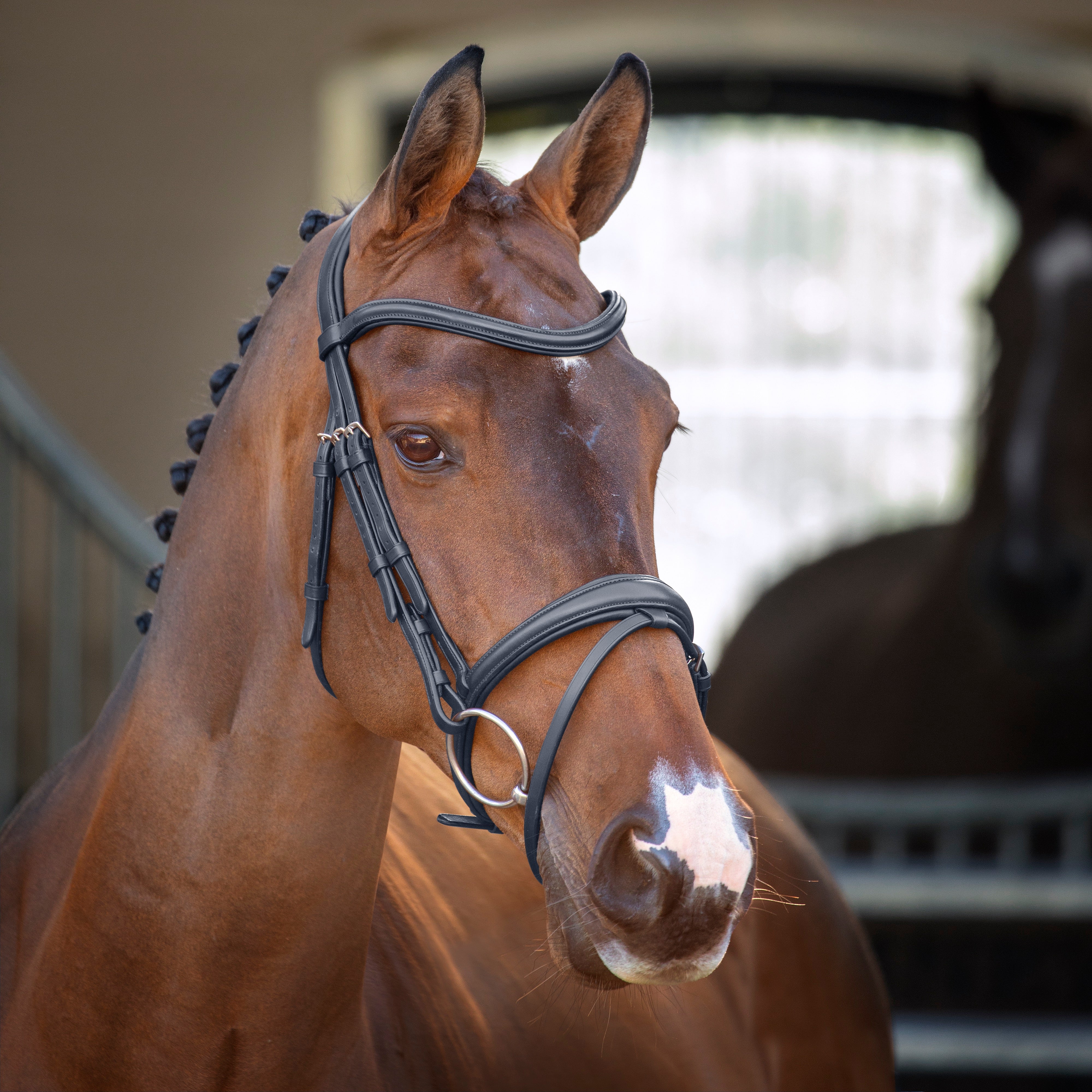 Shires Equestrian Velociti Padded Raised Flash Bridle - Thumbnail 3