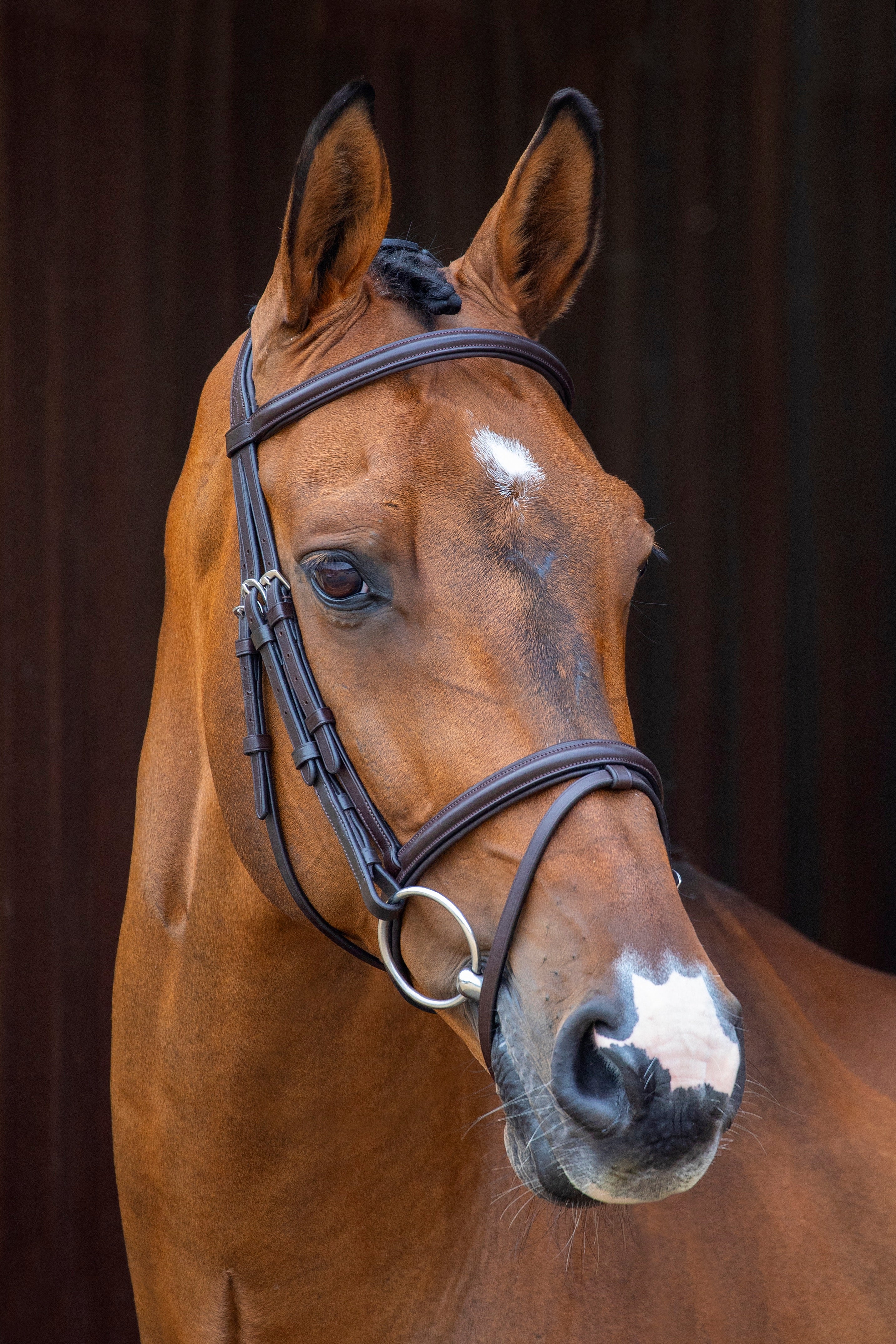 Shires Equestrian Velociti Padded Raised Flash Bridle - Thumbnail 2