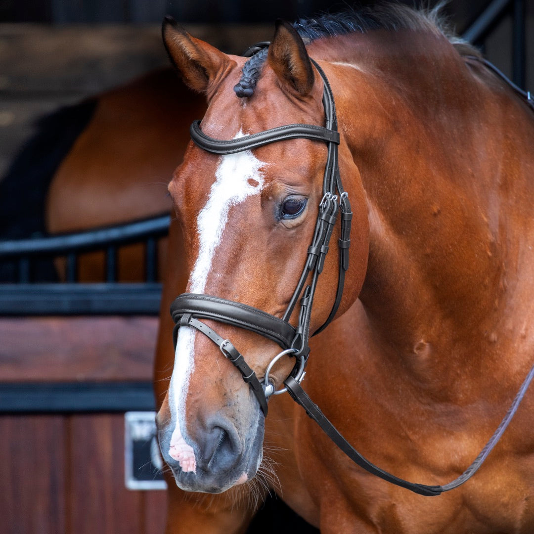 Velociti Dressage Bridle with Flash