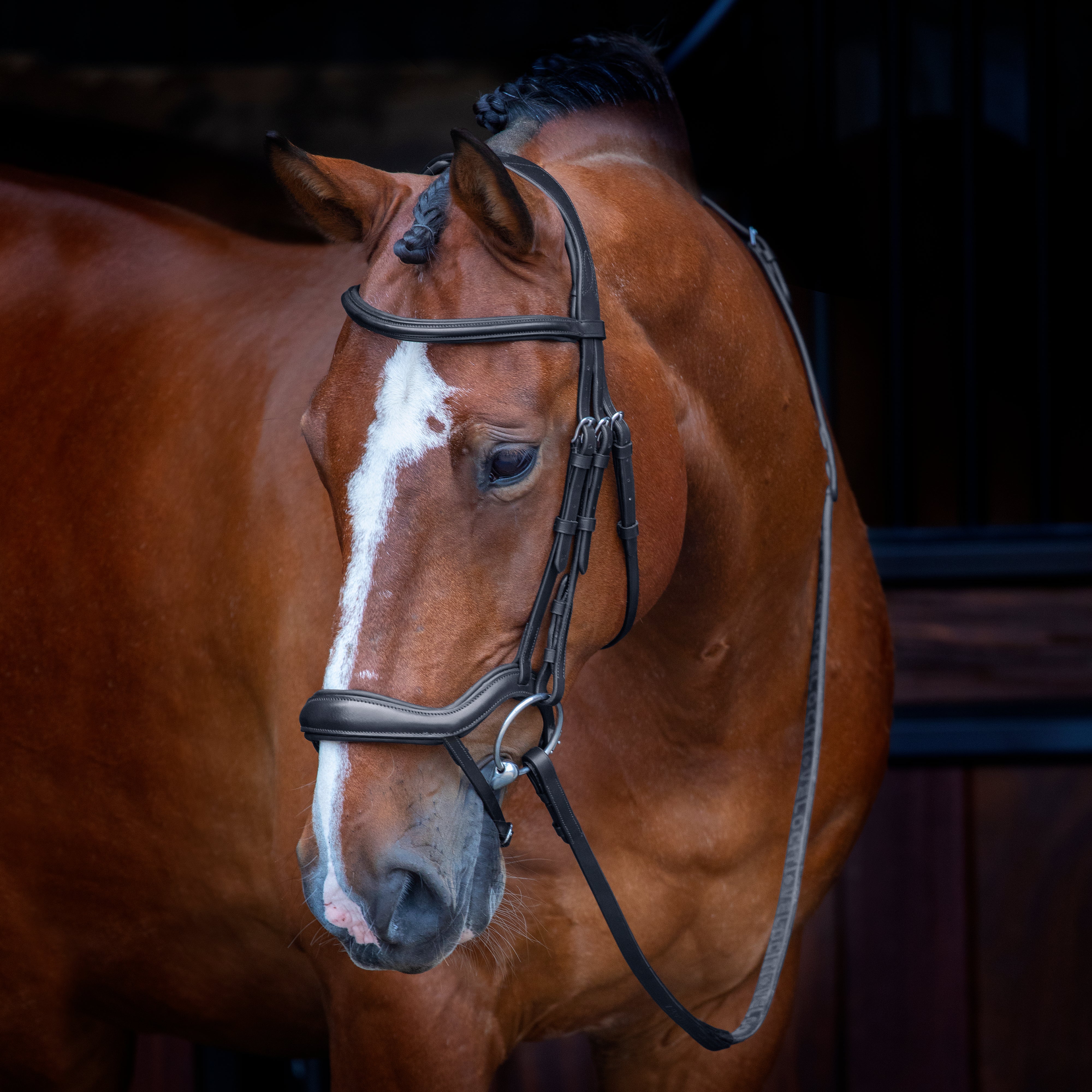 Velociti Ergonomic Flash Bridle