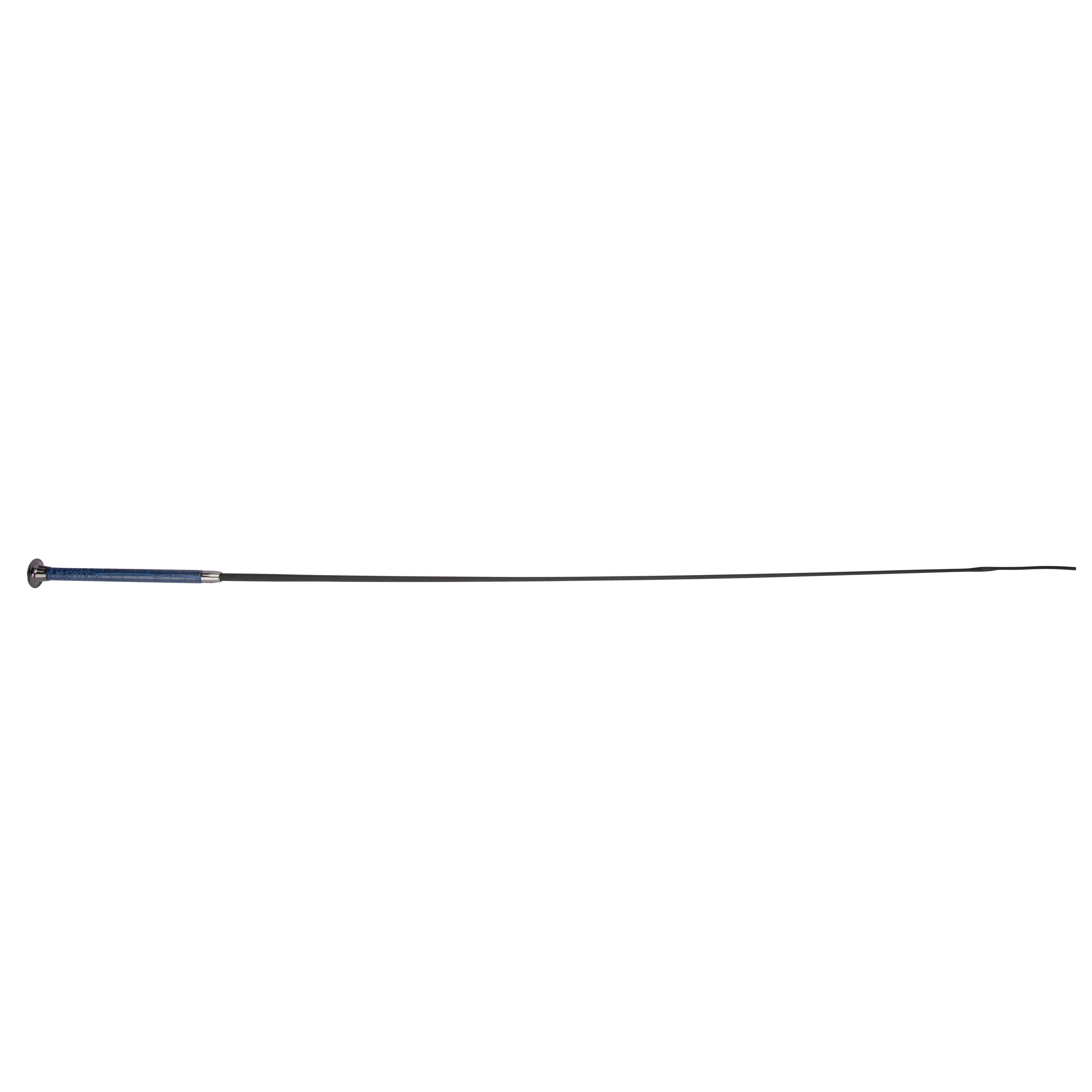 Deluxe Schooling Whip