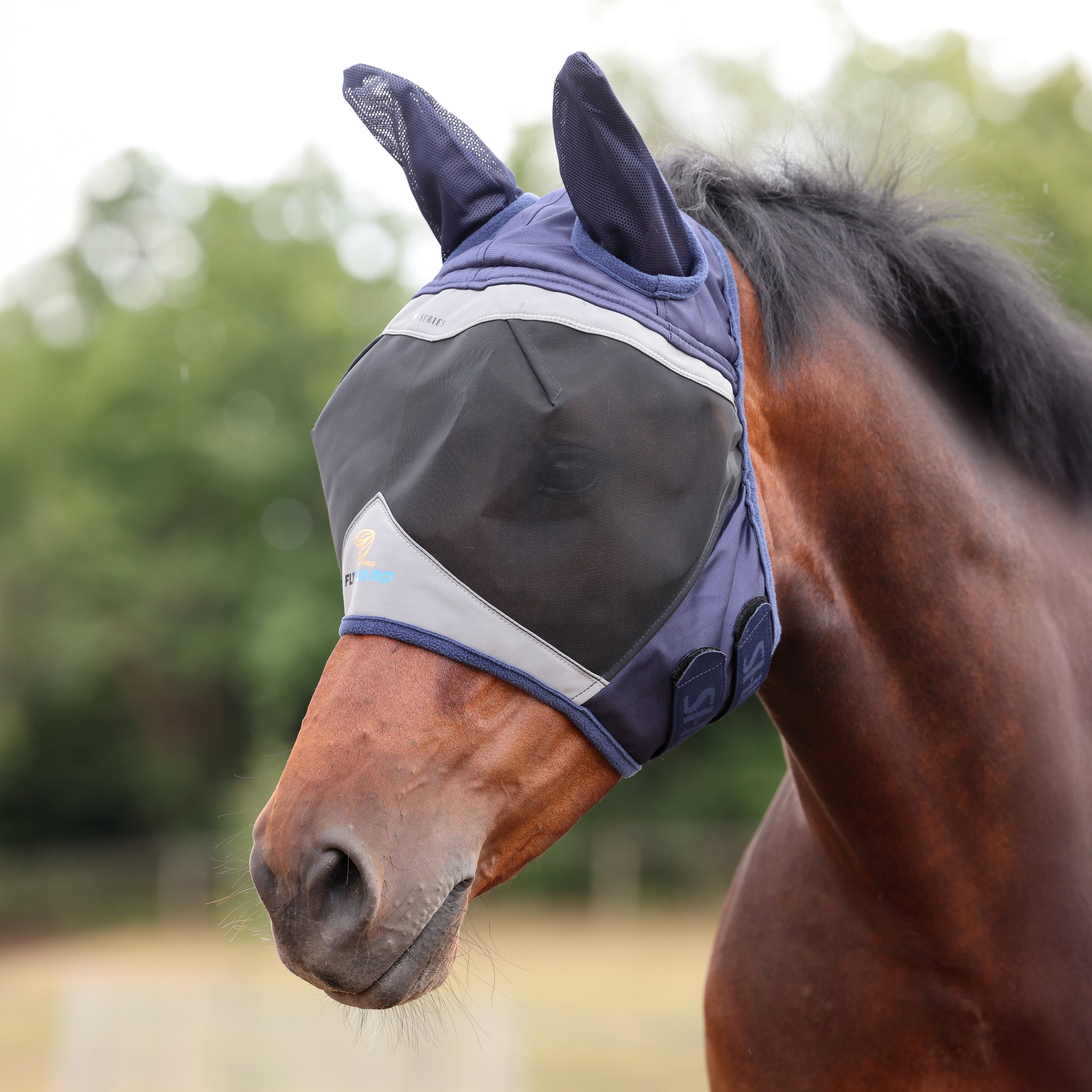 Basic Fly Mask Fly Masks