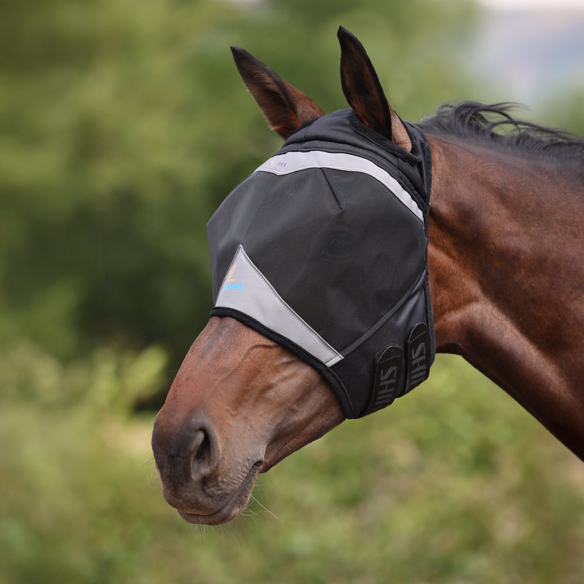 Fly Masks