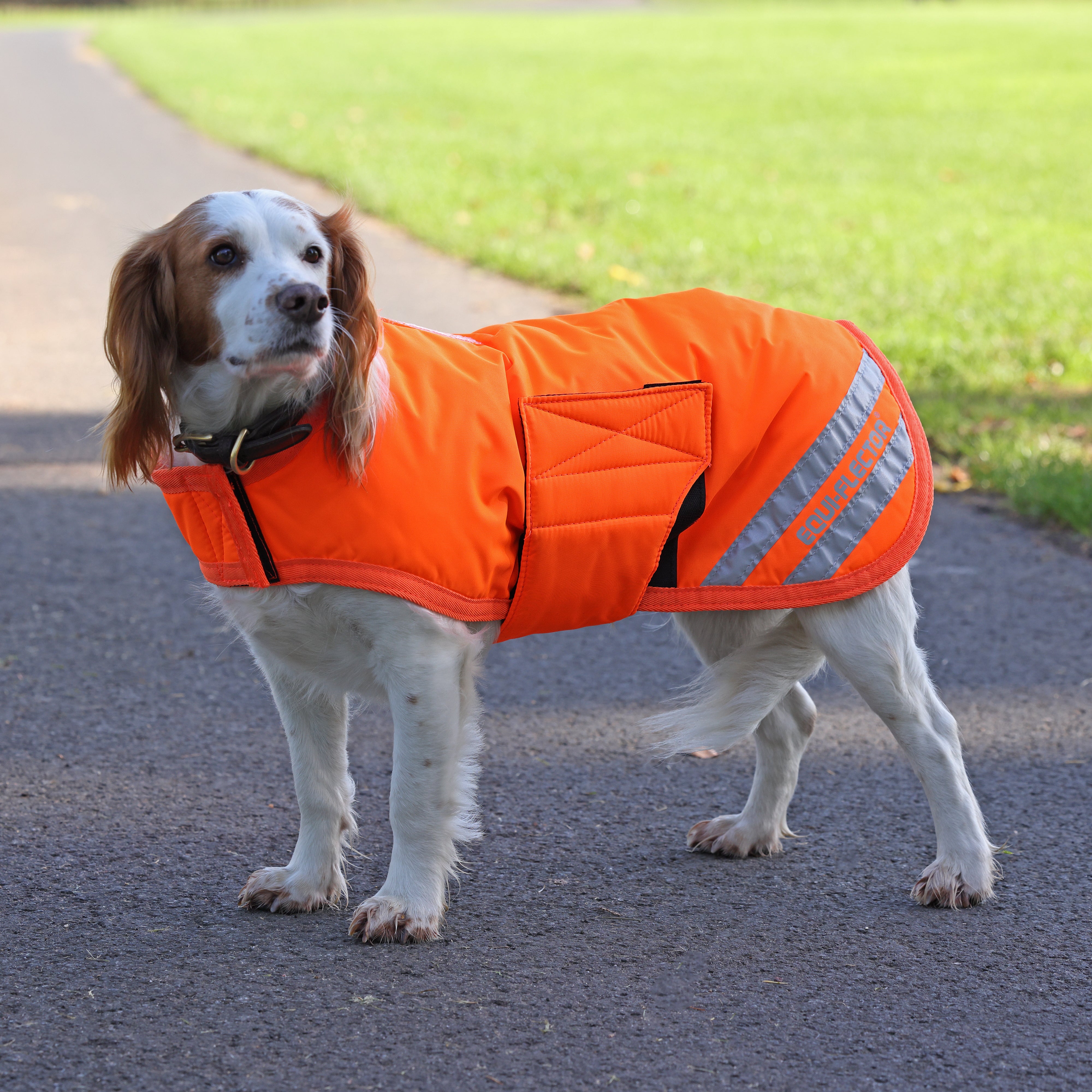 EQUI-FLECTOR® Dog Coat