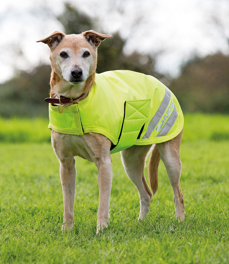 EQUI-FLECTOR® Dog Coat