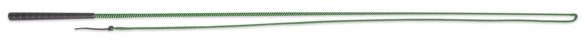 Lunging Whip - Spiral