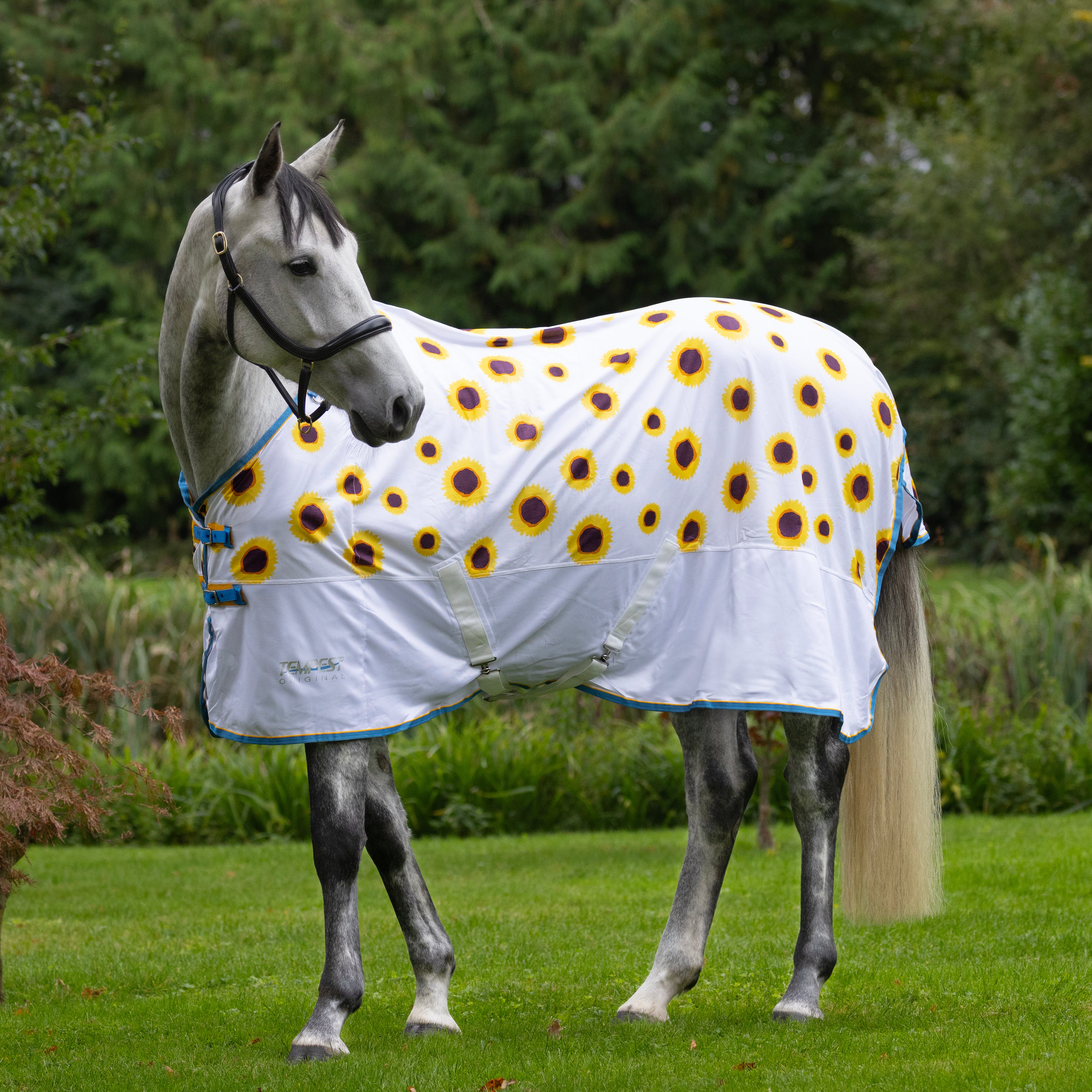 Tempest Fly Sheet with Standard Neck