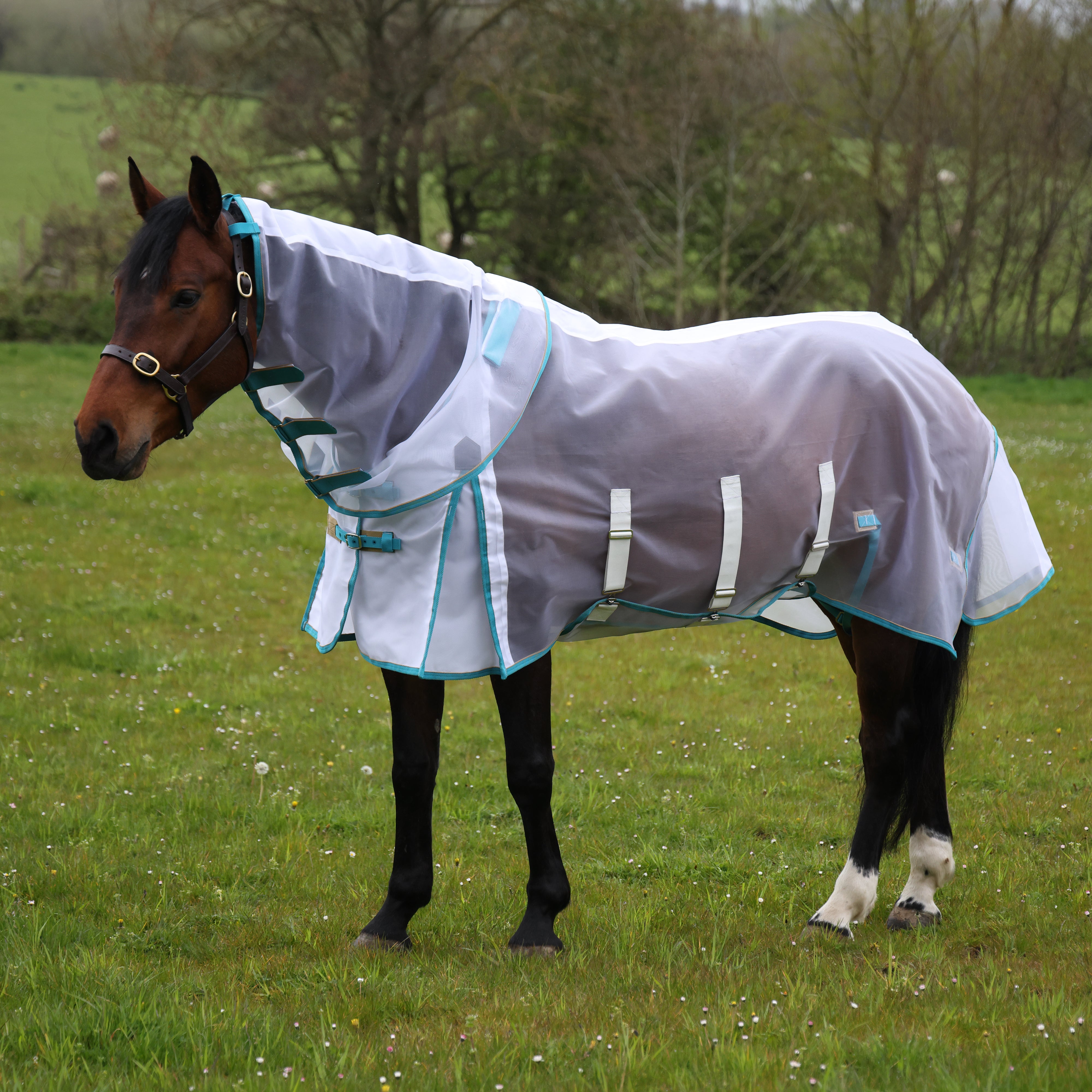 Highlander Fine Mesh Fly Sheet & Neck Set