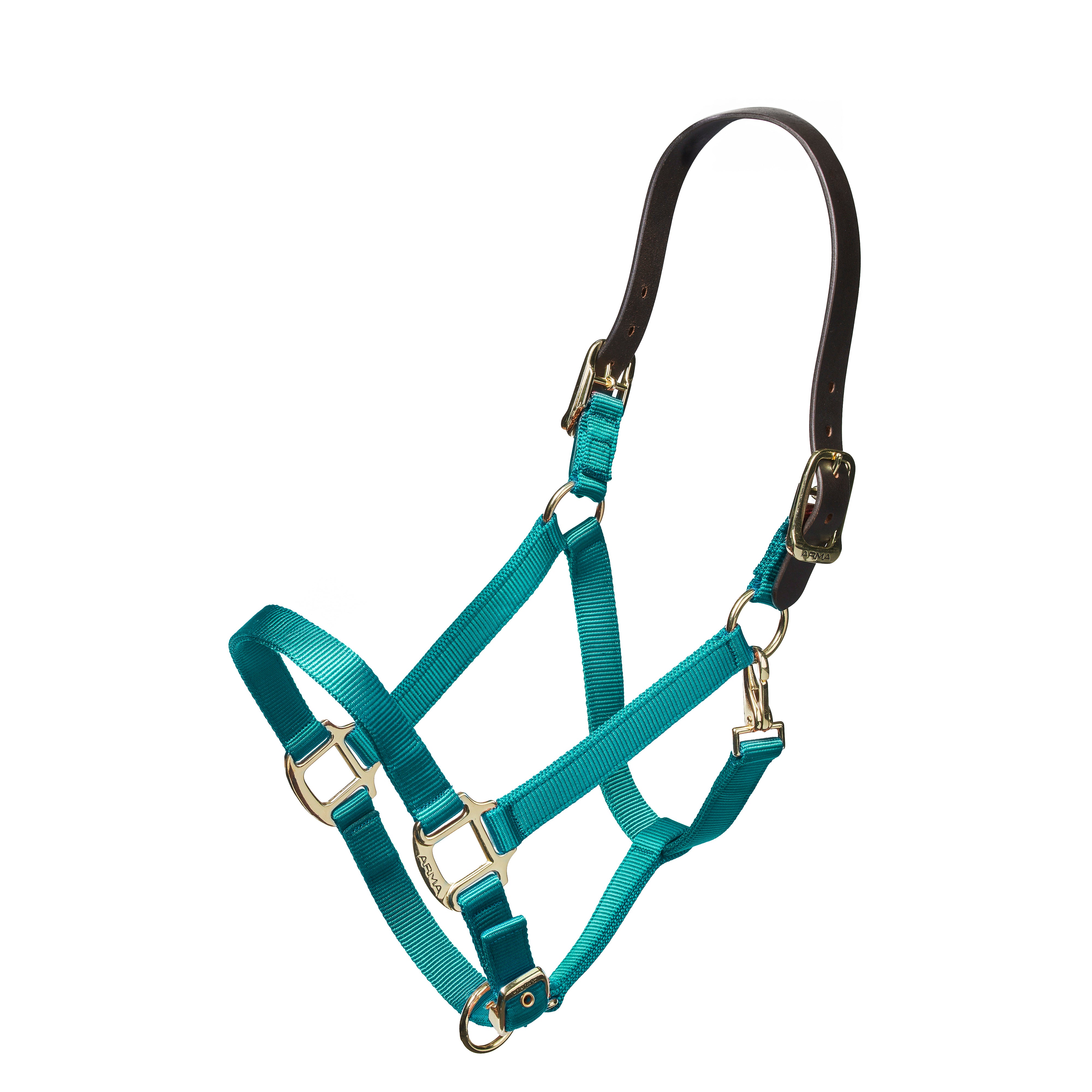 Nylon Halter With Leather Head Strap