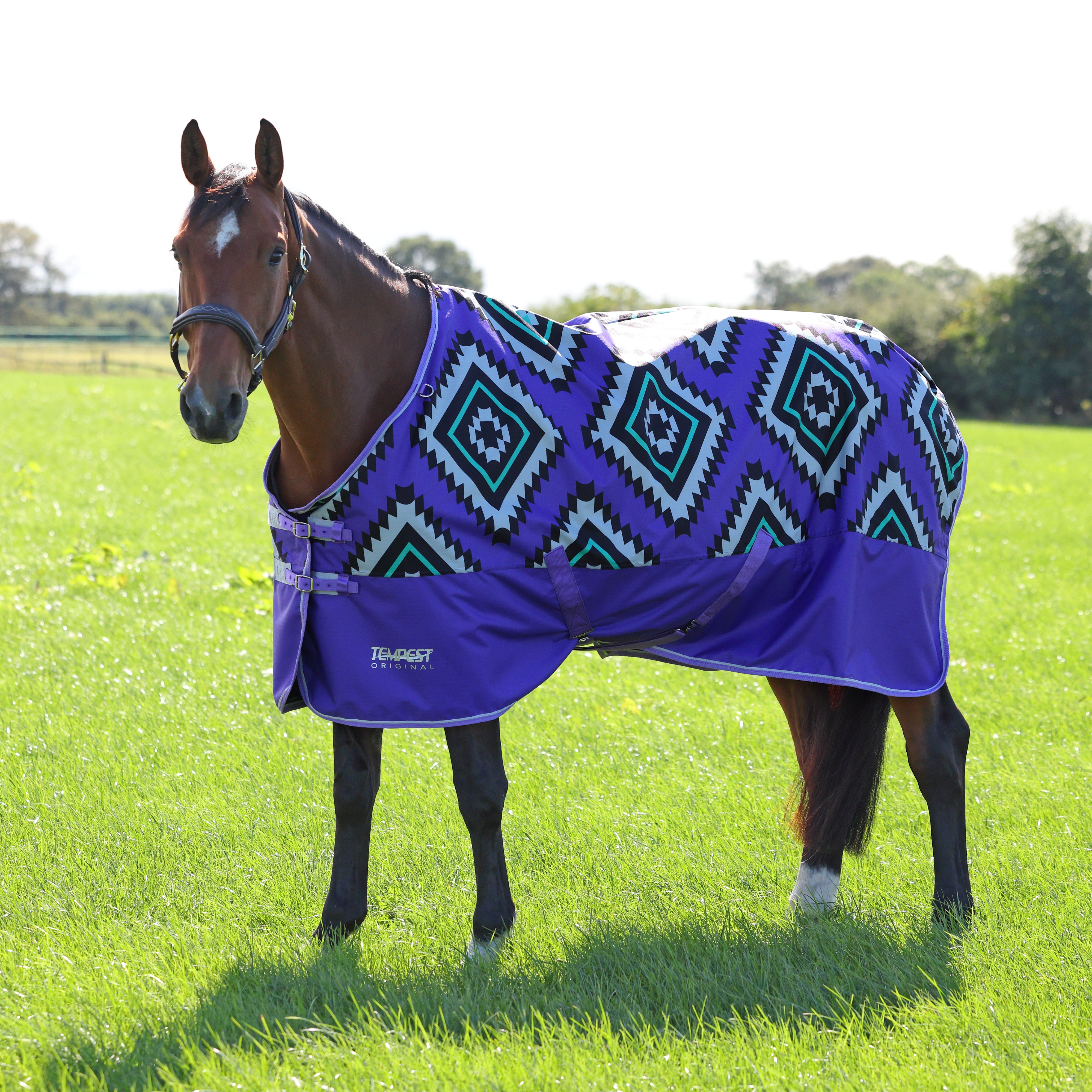 Tempest Original Lite Turnout