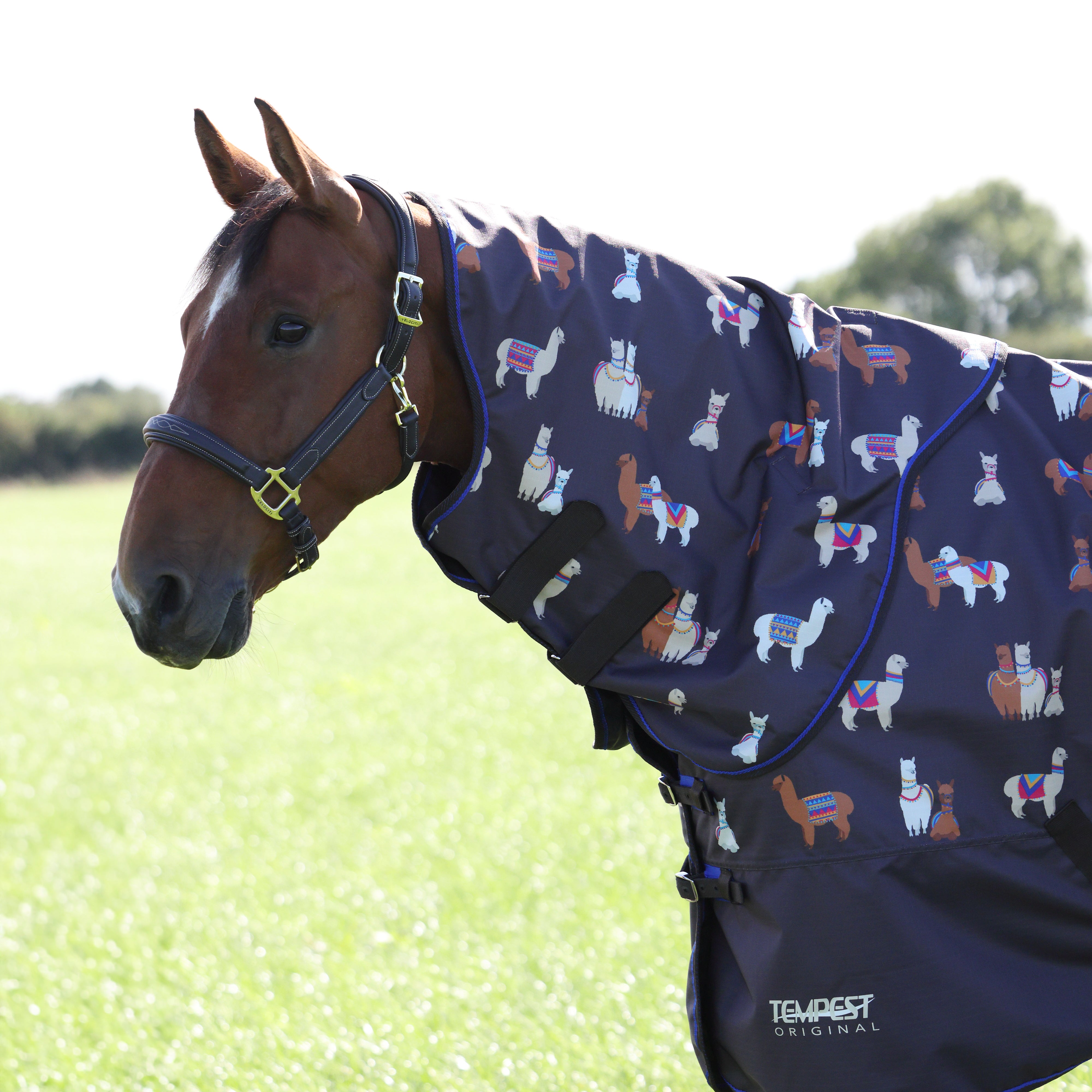 Tempest Original Lite Neck Cover