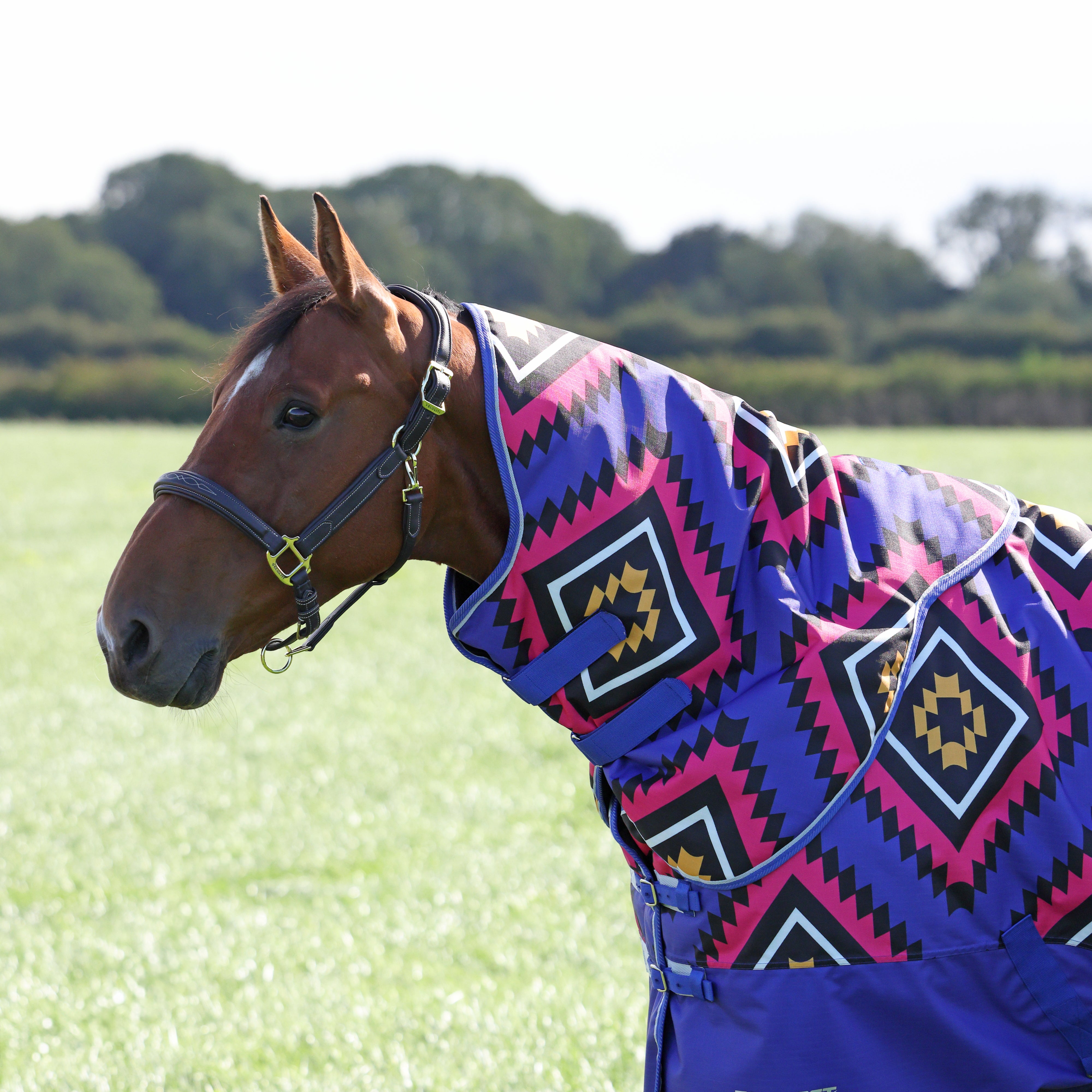 Tempest Original 200 Neck Cover